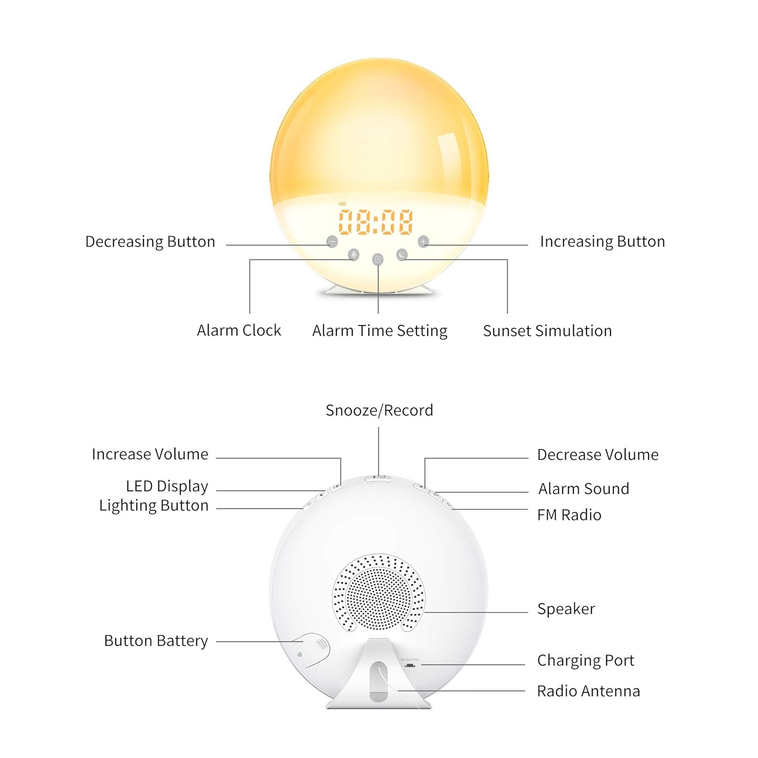 Réveil à Lumière Du Jour, Pour Les Dormeurs Profonds Avec 7 Sonneries