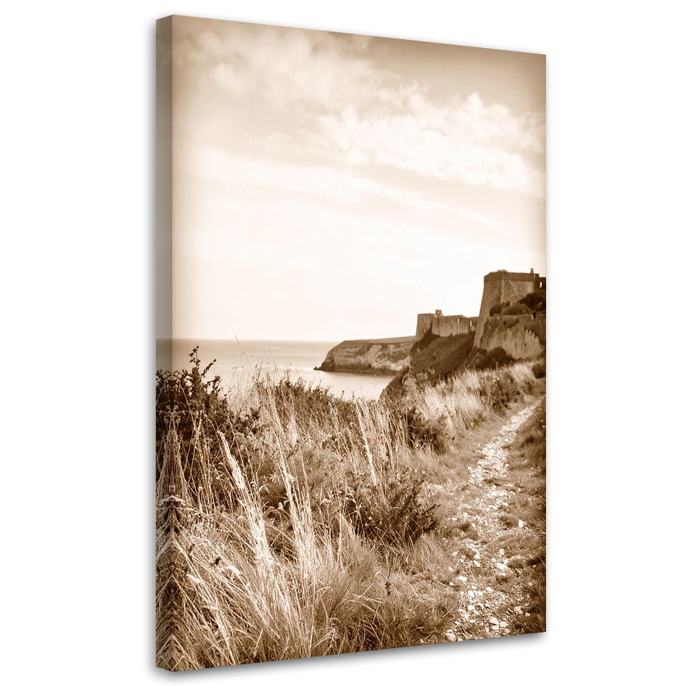 Obraz do salonu sypialni biura, Krajobraz morski sepia klif skały w stylu vintage 40x60