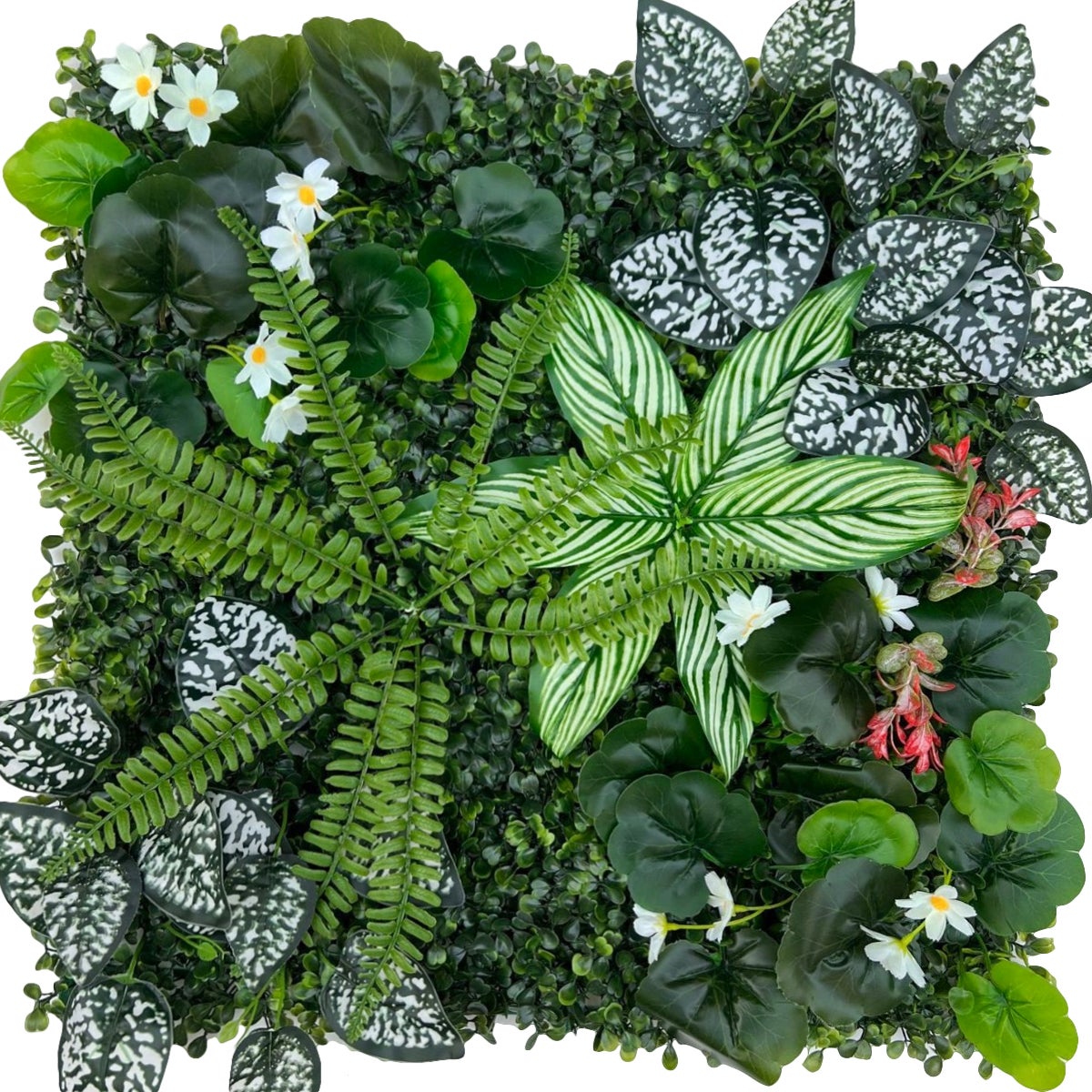 Sztuczny żywopłot 50 cm x 50 cm, ochrona i prywatność dla ogrodu, tło ścienne z syntetycznej trawy, ochrona UV (1 sztuka)