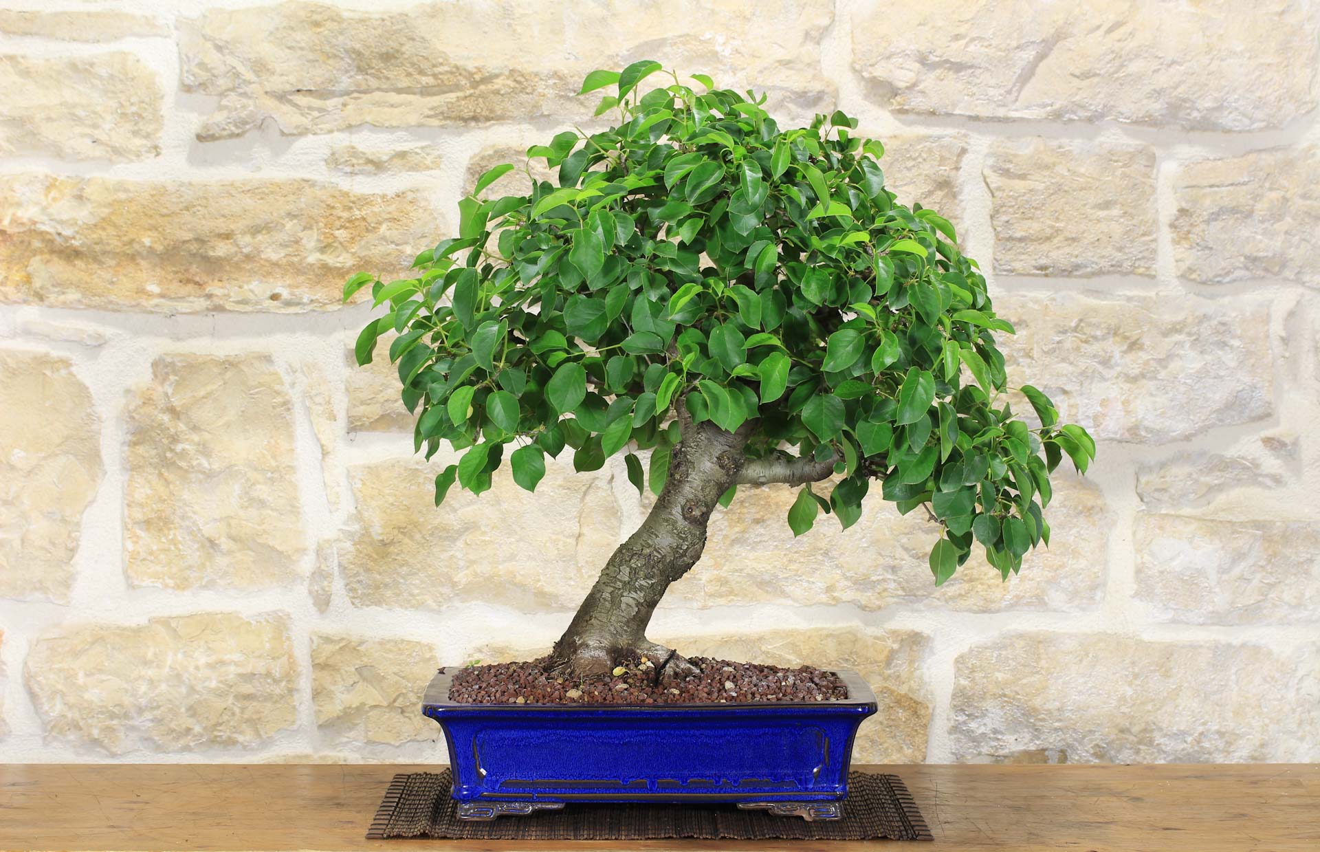 bonsai pots handmade Unglazed Yixing pot main image 0