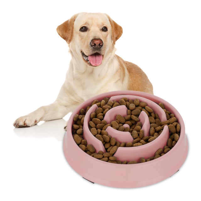 Ciotola Anti-ingozzamento Per Cani In Silicone – Design A Labirinto, Ventosa Antiscivolo, Ideale Per Cibo Secco E Umido, Taglia Media