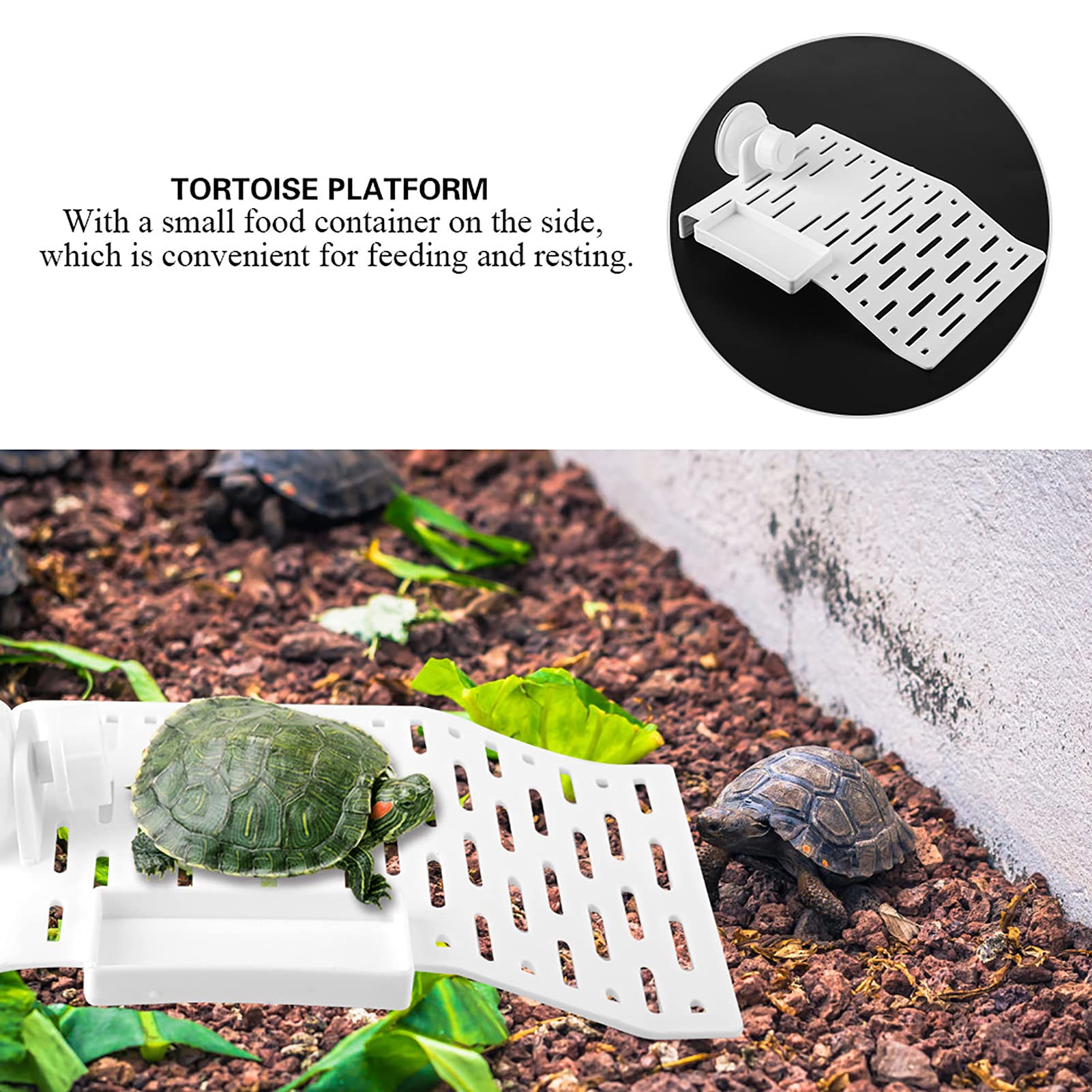 Aquário plataforma tartaruga terraço réptil habitat ilha flutuante doca com v - 9