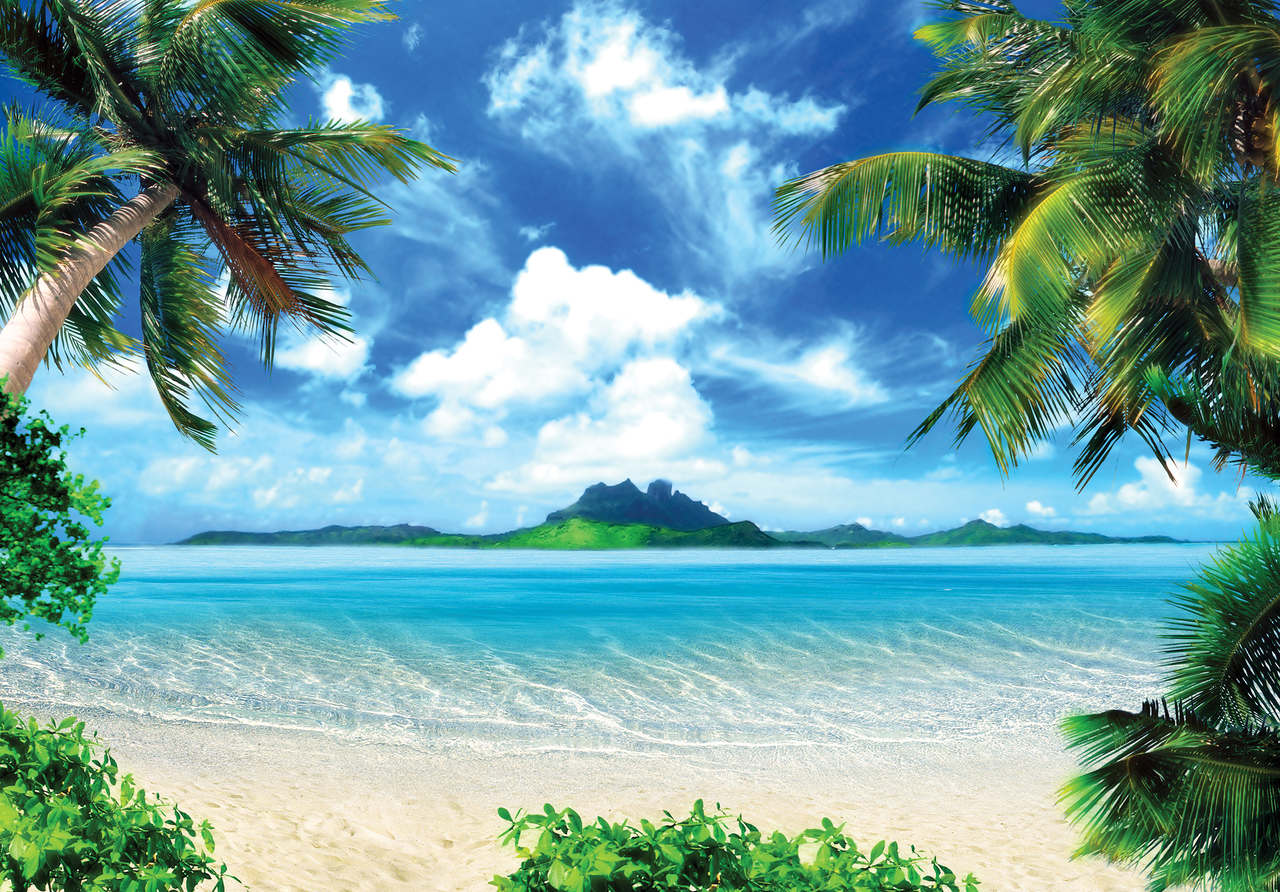 Papel pintado fotografia panorámica playa palmeras tropical paisaje 312x219 cm - incluye cola - moderno salon dormitorio papel no tejido