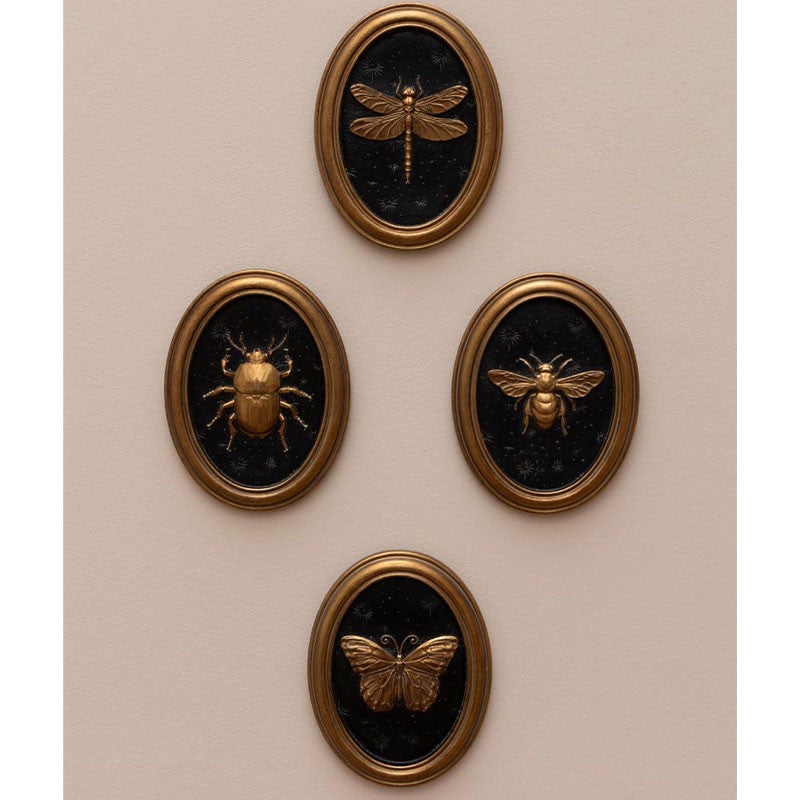 Ensemble 4 cadres insectes Entomologie 13x17cm - 2
