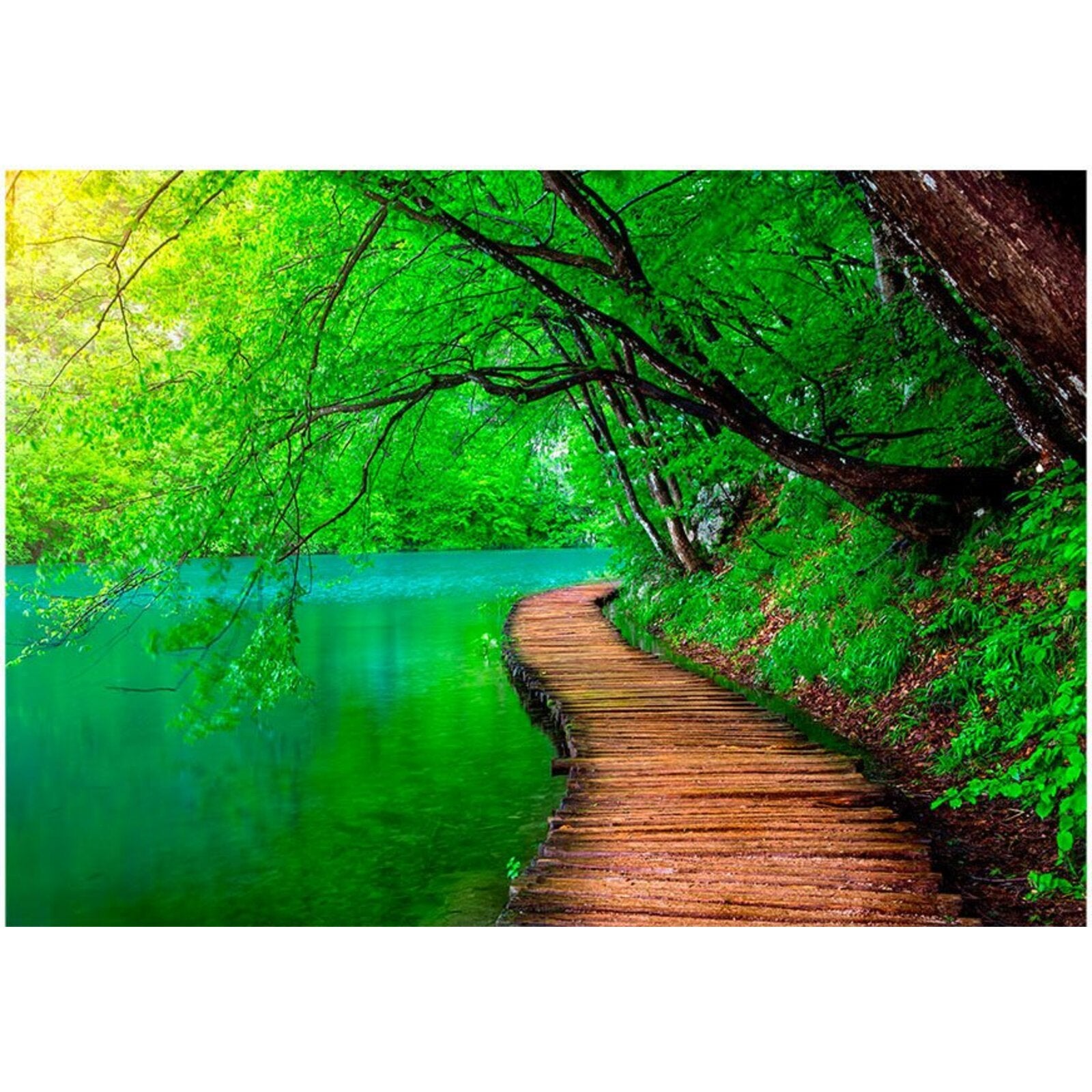 Papier peint paix verte - 100 x 70 cm - 2