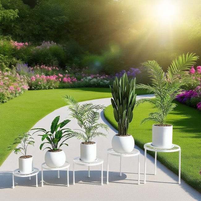 Kunjocy Confezione da 5 sottovasi rotondi da 32 cm, per piante da giardino, in plastica, per interni ed esterni, adatti per vasi fino a 28 cm (nero, esterno 32 cm Kunjocy Confezione da 5 sottovasi rotondi da 32 cm, per piante da giardino, in plastica, per interni ed esterni, adatti per vasi fino a 28 cm (nero, esterno 32 cm