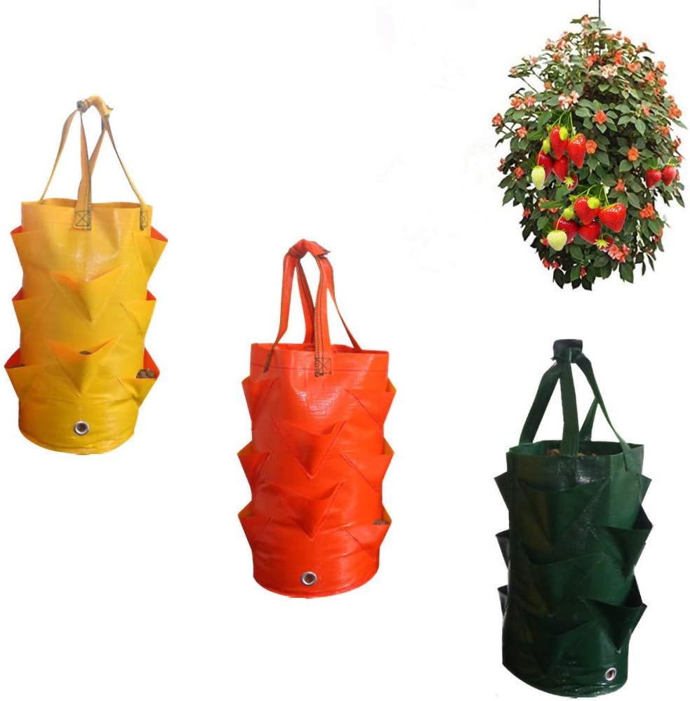 (Zielony) 3 galony i 10 folii plastikowych, 1 opakowanie wiszących worków uprawowych, worki do uprawy truskawek, wiszący kosz na rośliny kwitnące