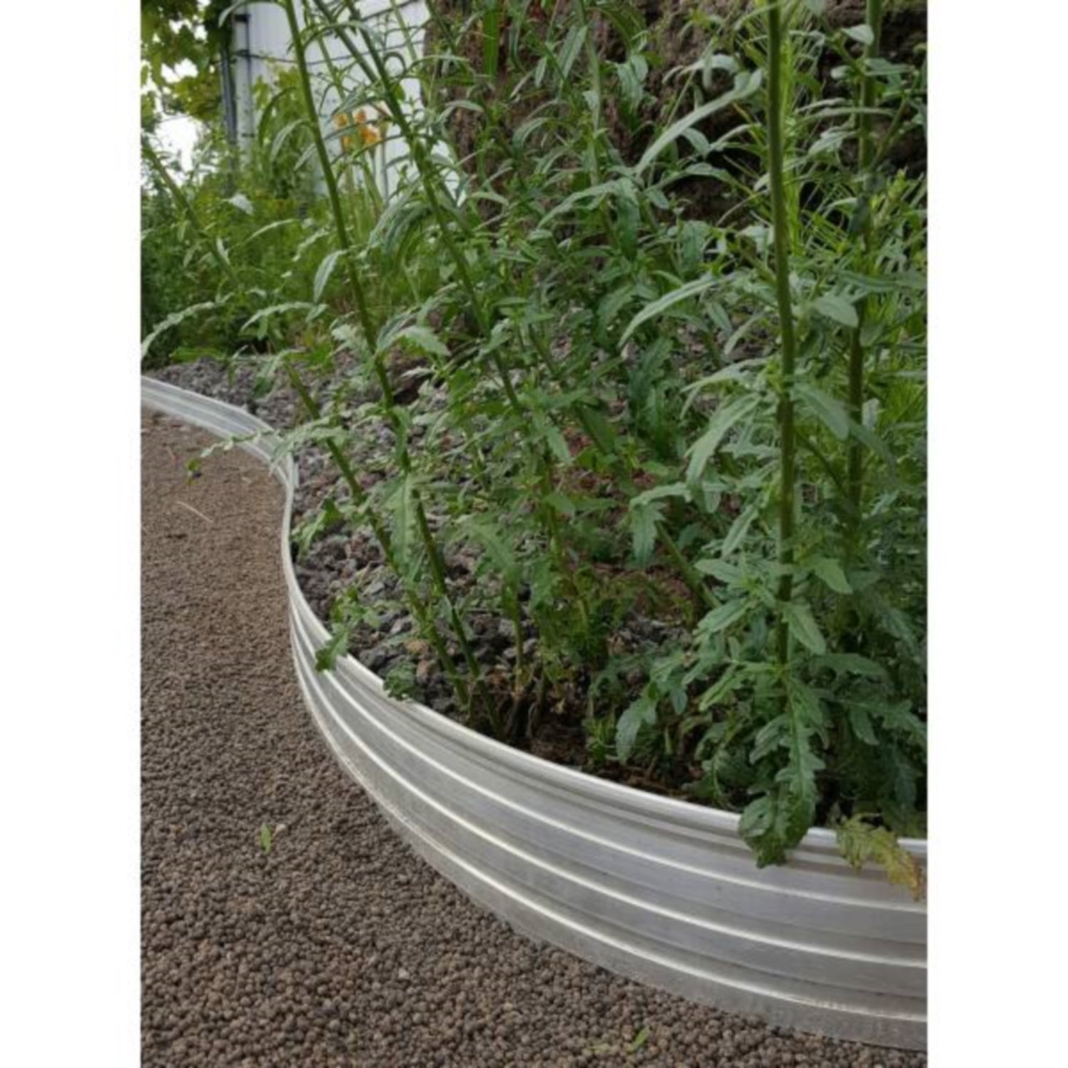 Bordure de Jardin Green Universe, Large:14 cm, Foule:1 | Bordure Jardin | Bordures de Jardin - 3