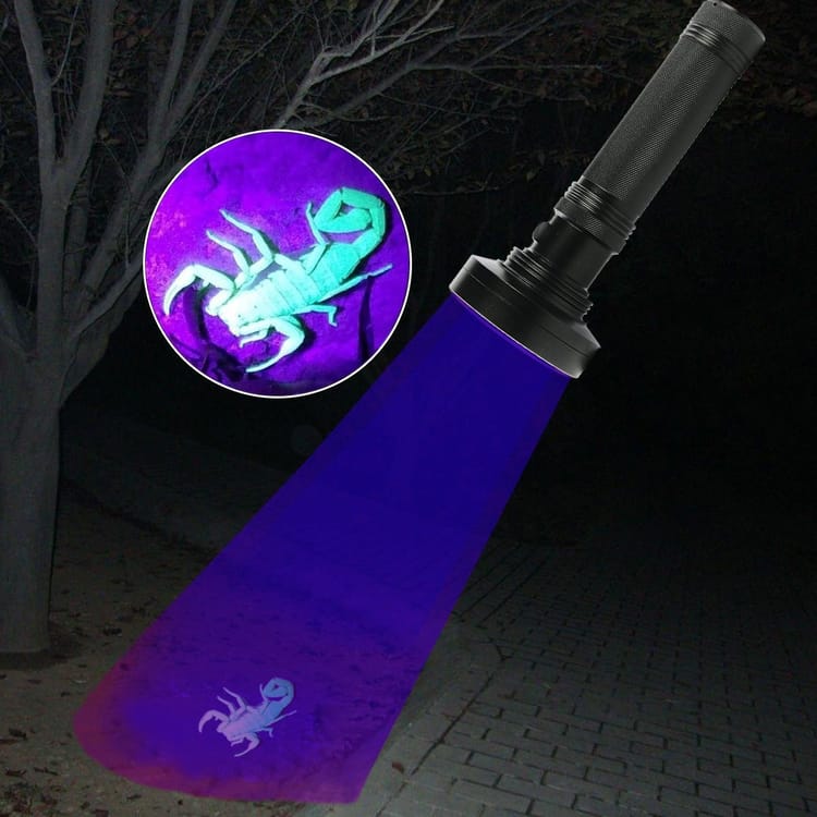 Lampe UV violette, 100 lampes, lampe de détection d'agent fluorescent, lampe UV - 2