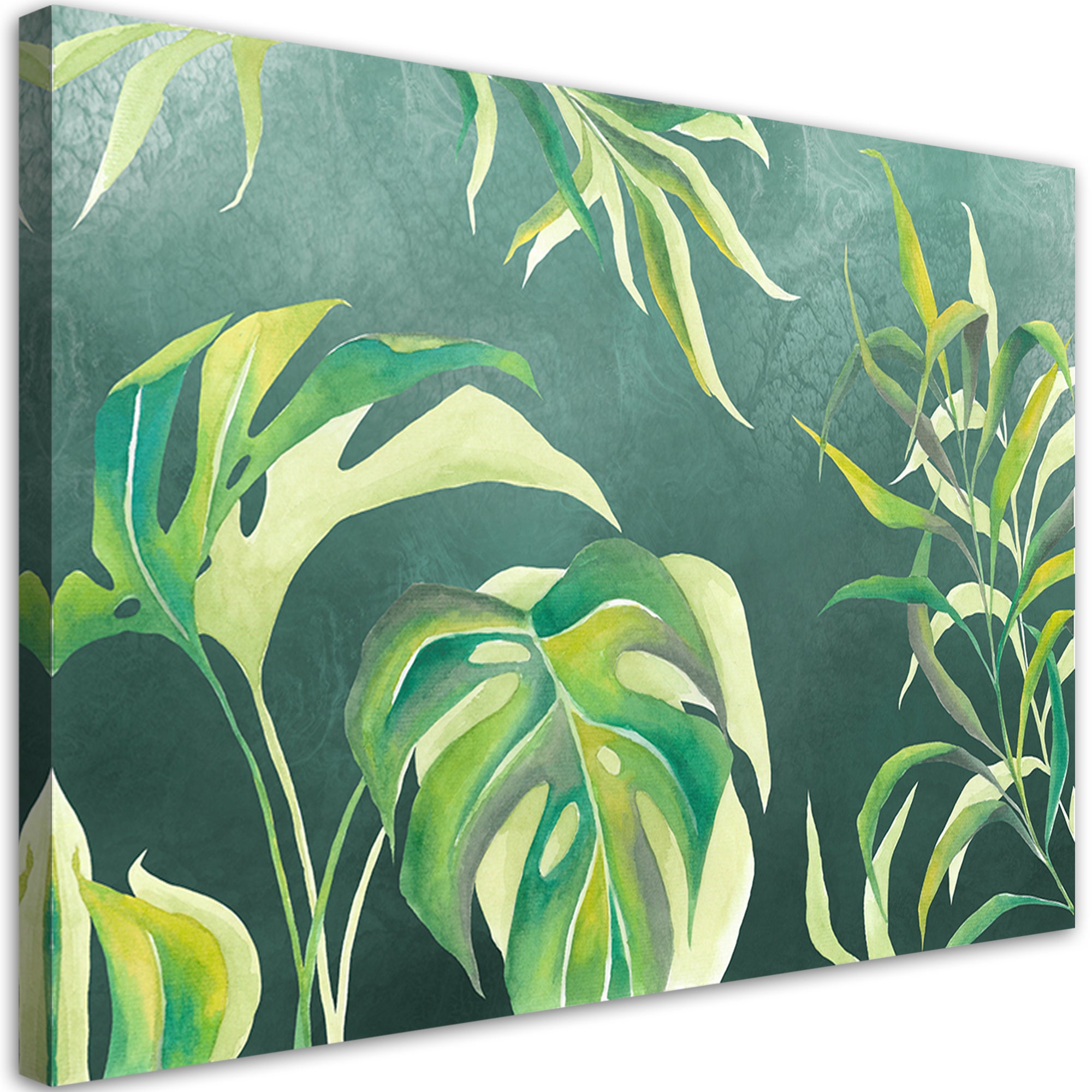 Obraz na płótnie, Liście Monstera 60x40