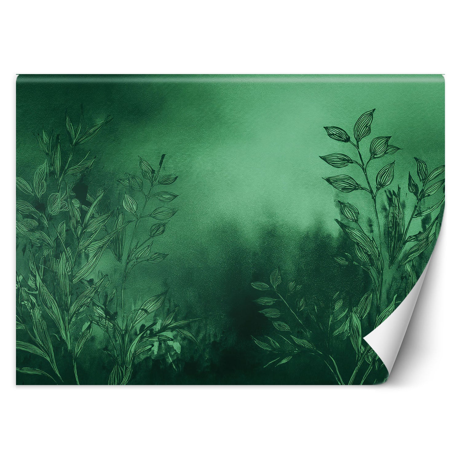 Fototapeta, Łąka Zielony Botanika 400x280