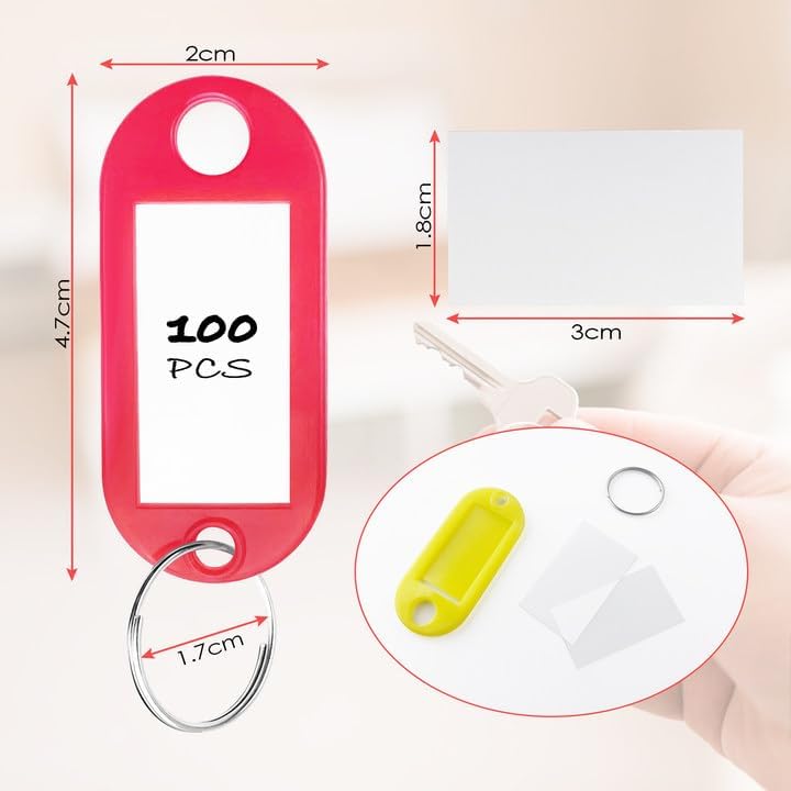 100 pezzi portachiavi, targhette portachiavi in plastica, portachiavi scrivibili in 10 colori, targhette identificative con portachiavi - 4