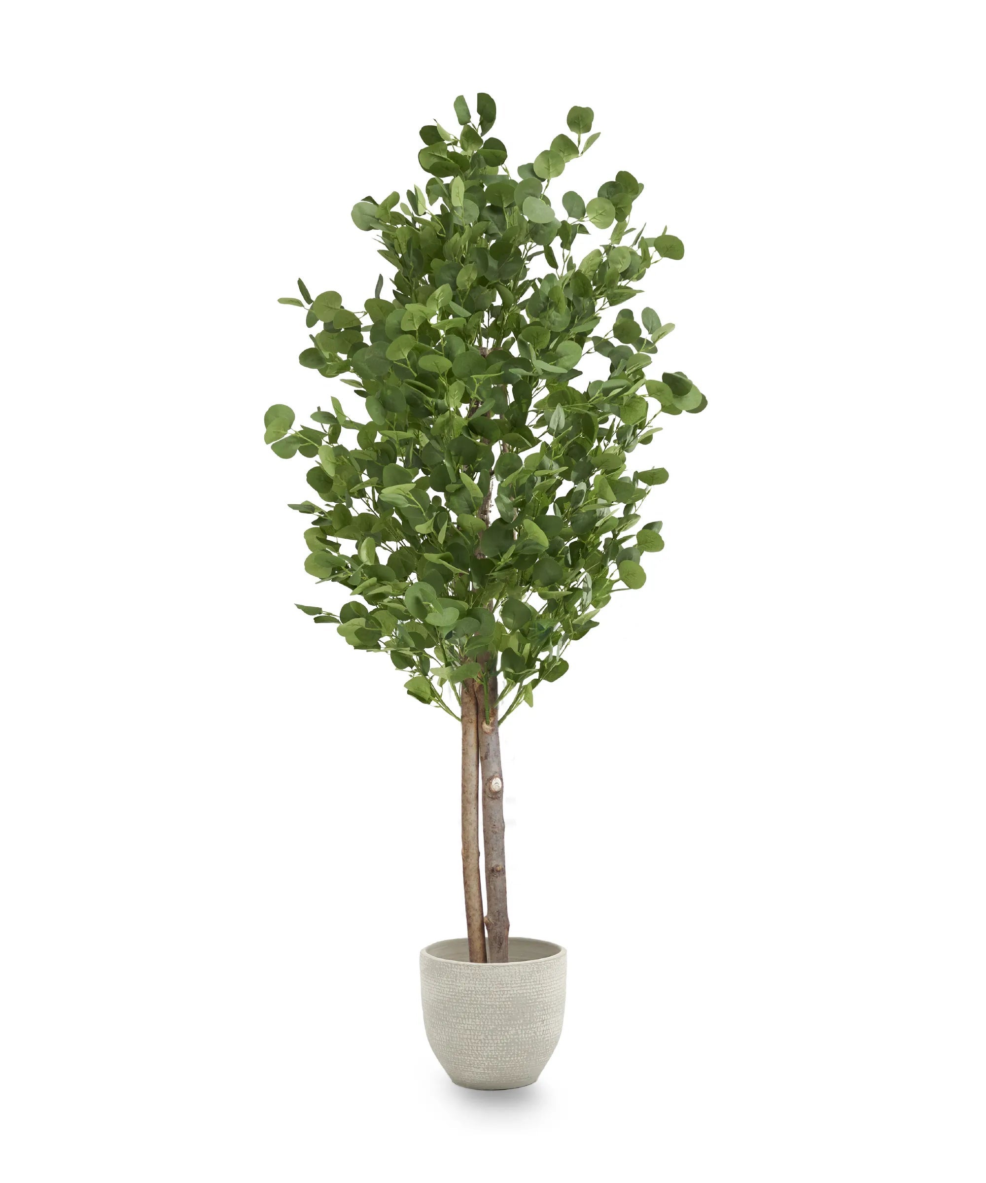 Planta artificial - Árbol artificial - - Eucalipto - 7
