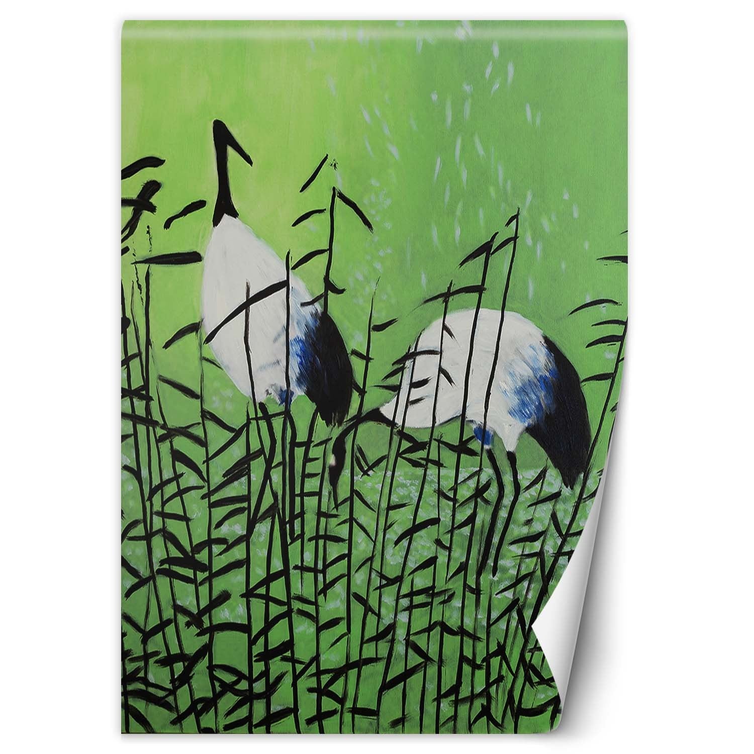 Fototapeta, Ptaki czaple malowane 200x280