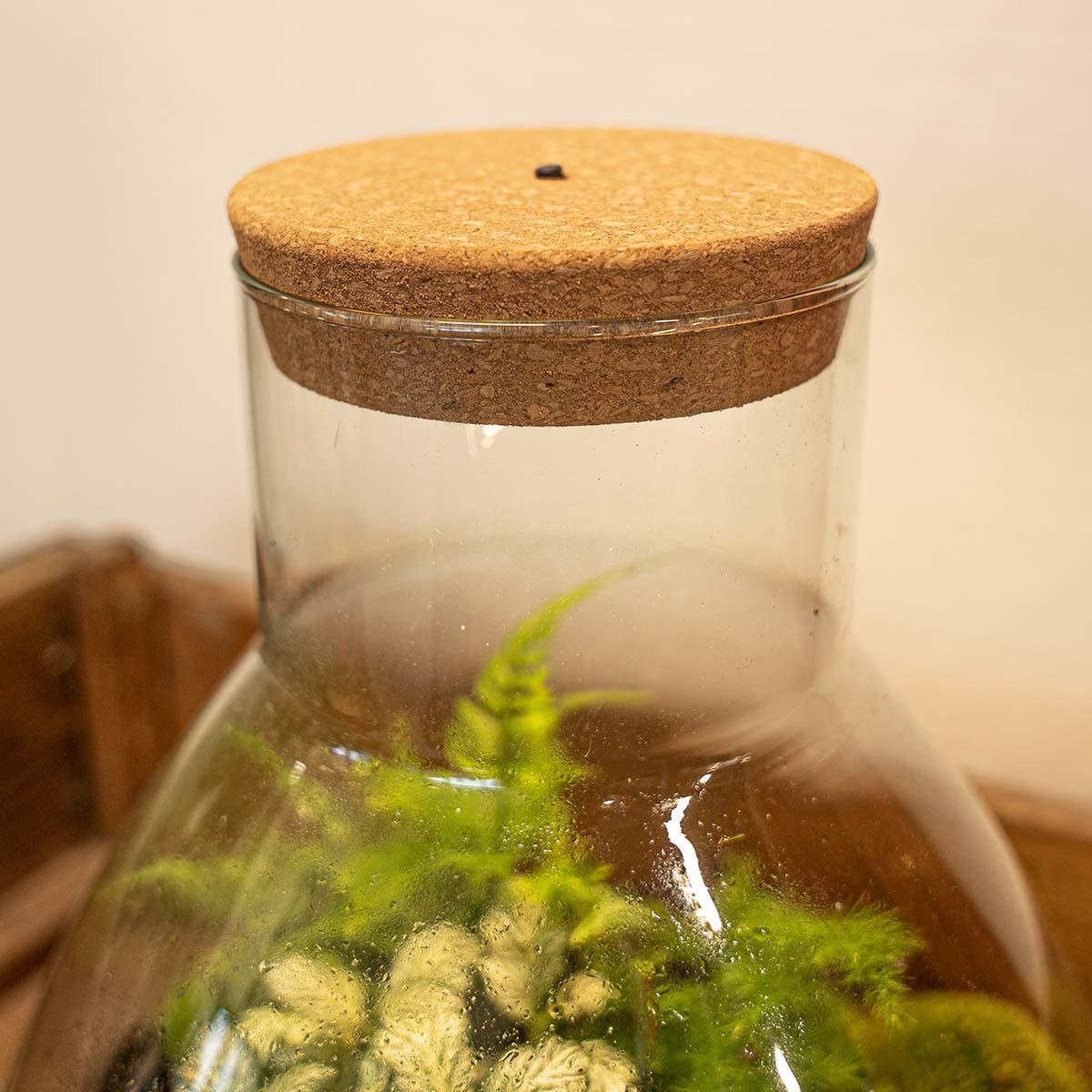 Korek LED M do Terrarium – Dekoracyjne Oświetlenie Bezprzewodowe 12 x 10,8 x 3 cm
