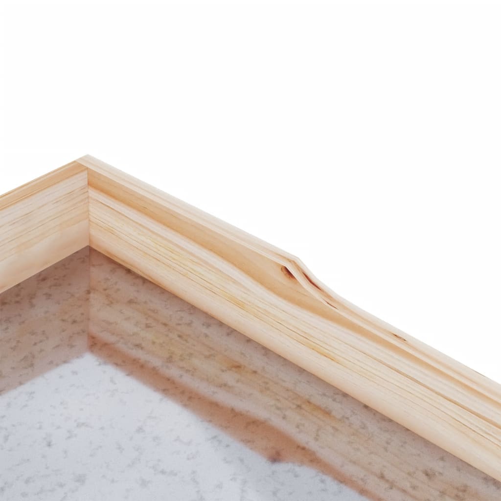 Jardinière | Table à plantes avec étagères 78x38x82,5cm bois de sapin solide CFW27872 - 7