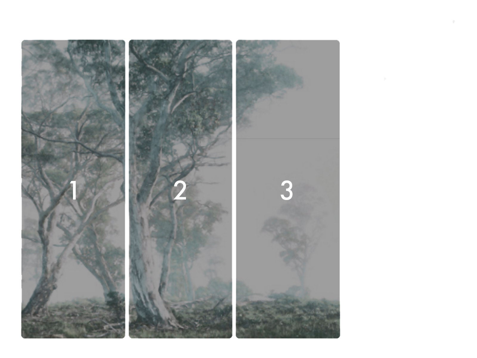 Fotomurale in tessuto non tessuto di Komar - Magic Trees - Dimensione: 300 x 280 cm - 3