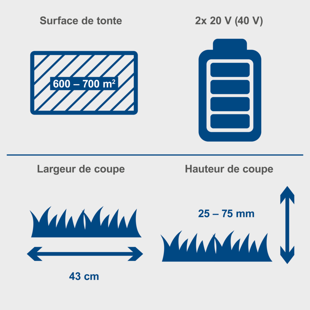 Scheppach Tondeuse sans fil BC-MP430-X SET XL2 - largeur de coupe 43 cm - superficie 600-700 m² - bac 50L - 2 batteries 4Ah + chargeur double inclus - 3