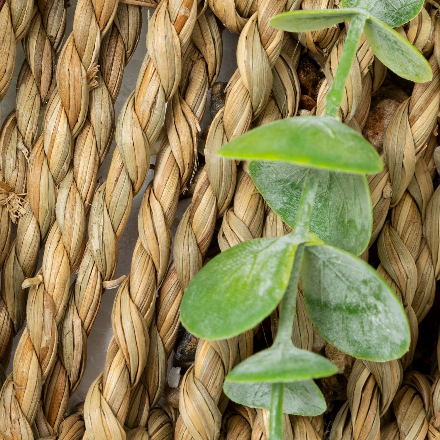 Eucalyptus à suspendre avec pot naturel - H. 70 cm - 4