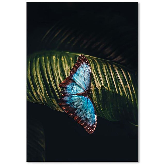 Tableau papillon sur une feuille - 30 x 40 cm