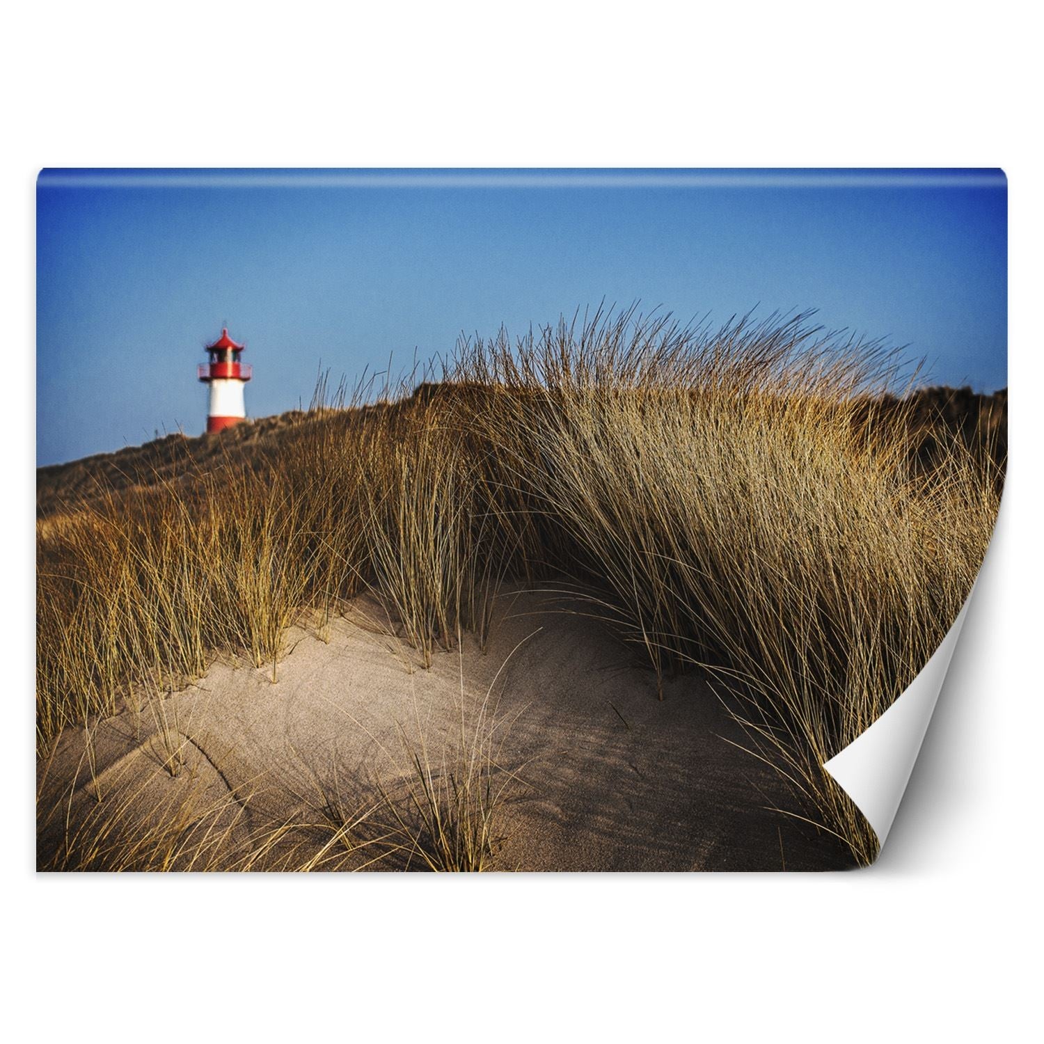 Fototapeta, Latarnia morska wydmy trawy morze 100x70