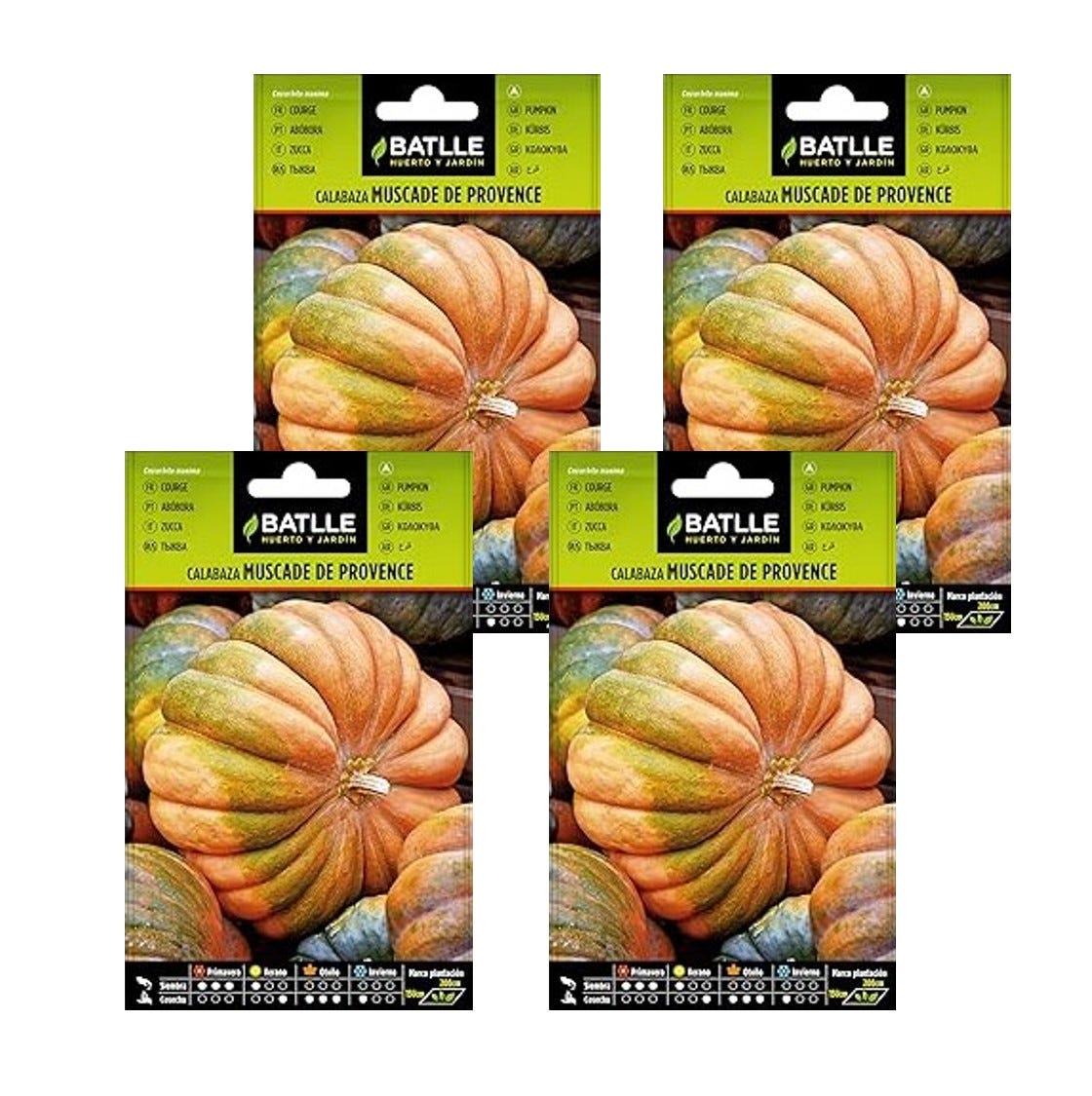 Comprar Semillas calabacin temprano argelia Comprar Semillas calabacin temprano argelia
