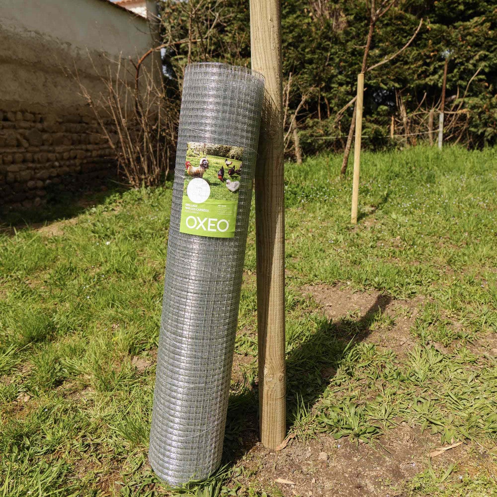 Grillage à poule 30m Haut 1m - Acier galvanisé – Maille carré 16x16mm - Filet de clôture pour poulailler - Epaisseur fil 0,8mm - 3