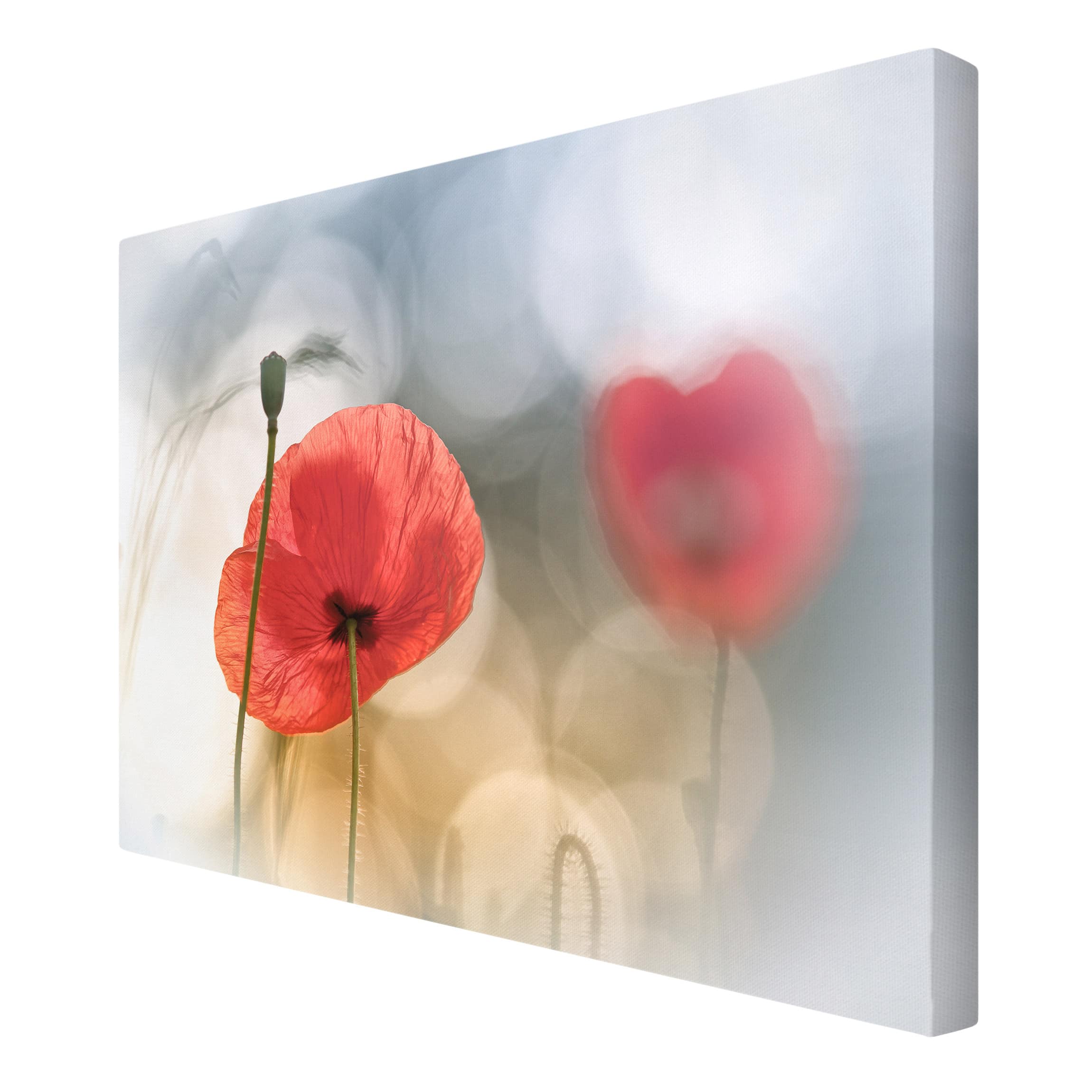 Impression sur toile tableau sur toile châssis rouge botanique fleur coquelicot 218 cuisine chambre à coucher salon couloir 90 x 60 cm - 6