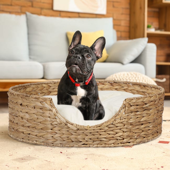 Cuccia per Cani E Gatti, H X D: 15 X 49 Cm, Lettino in Cuccia per Cani E Gatti, H X D: 15 X 49 Cm, Lettino in