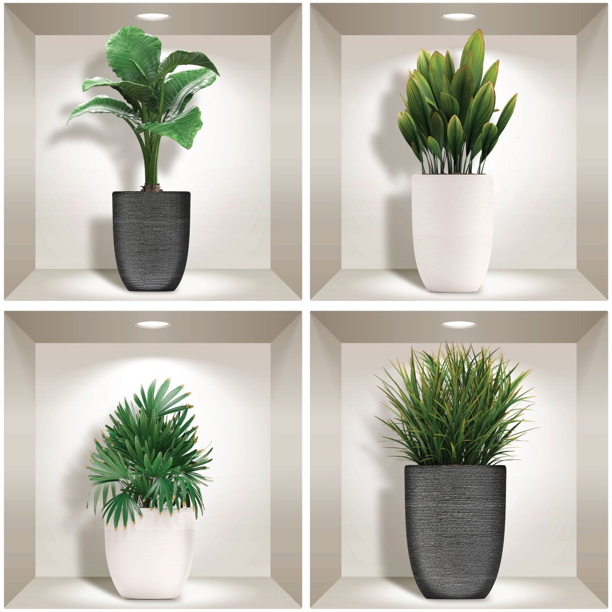 Adesivo effetto 3D piante in vasi design - Sticker adesivo - adesivi murali - 80x80cm - 4