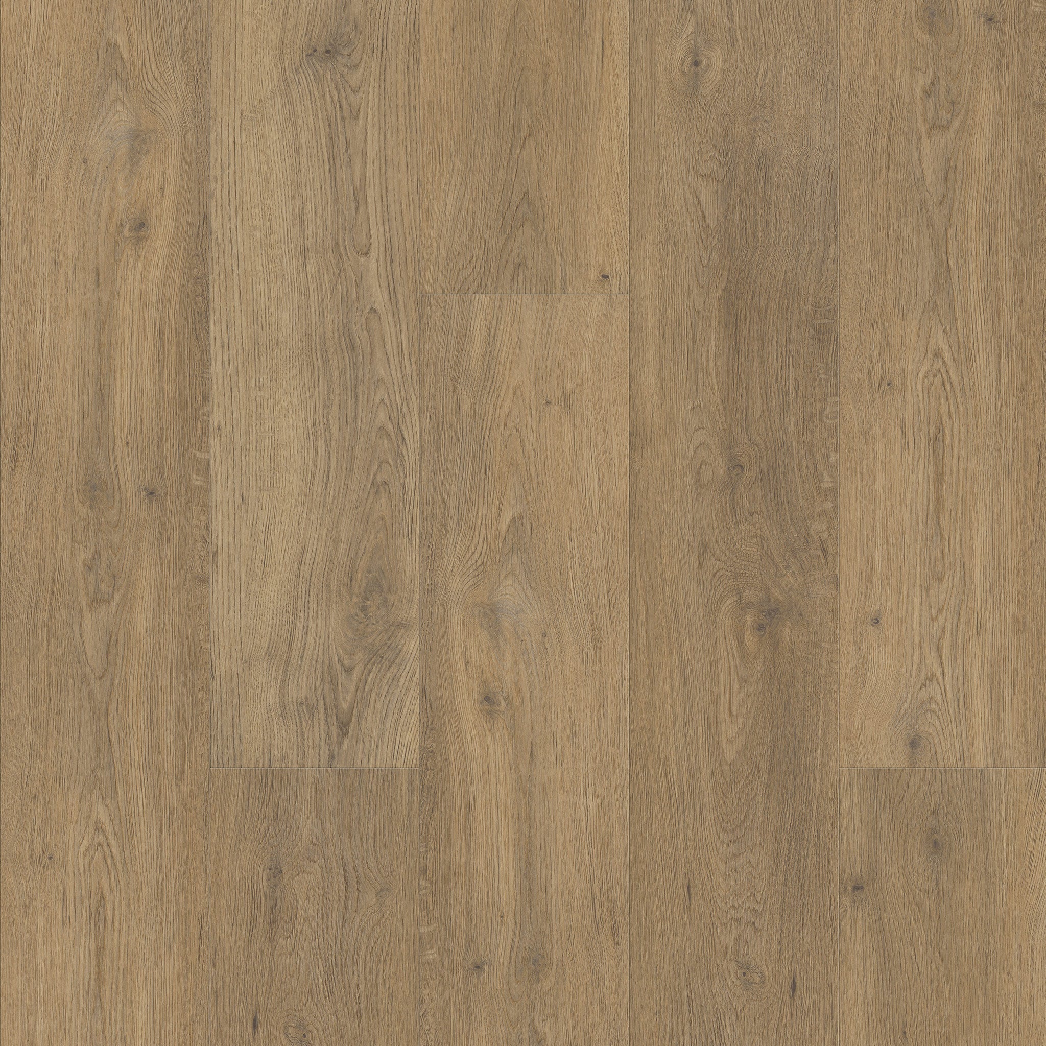 FLOOREVER - Lame PVC clipsable forte - Sous-couche intégrée - 30 Clic Rigid - Épaisseur 5 mm - Chêne tradition - 2