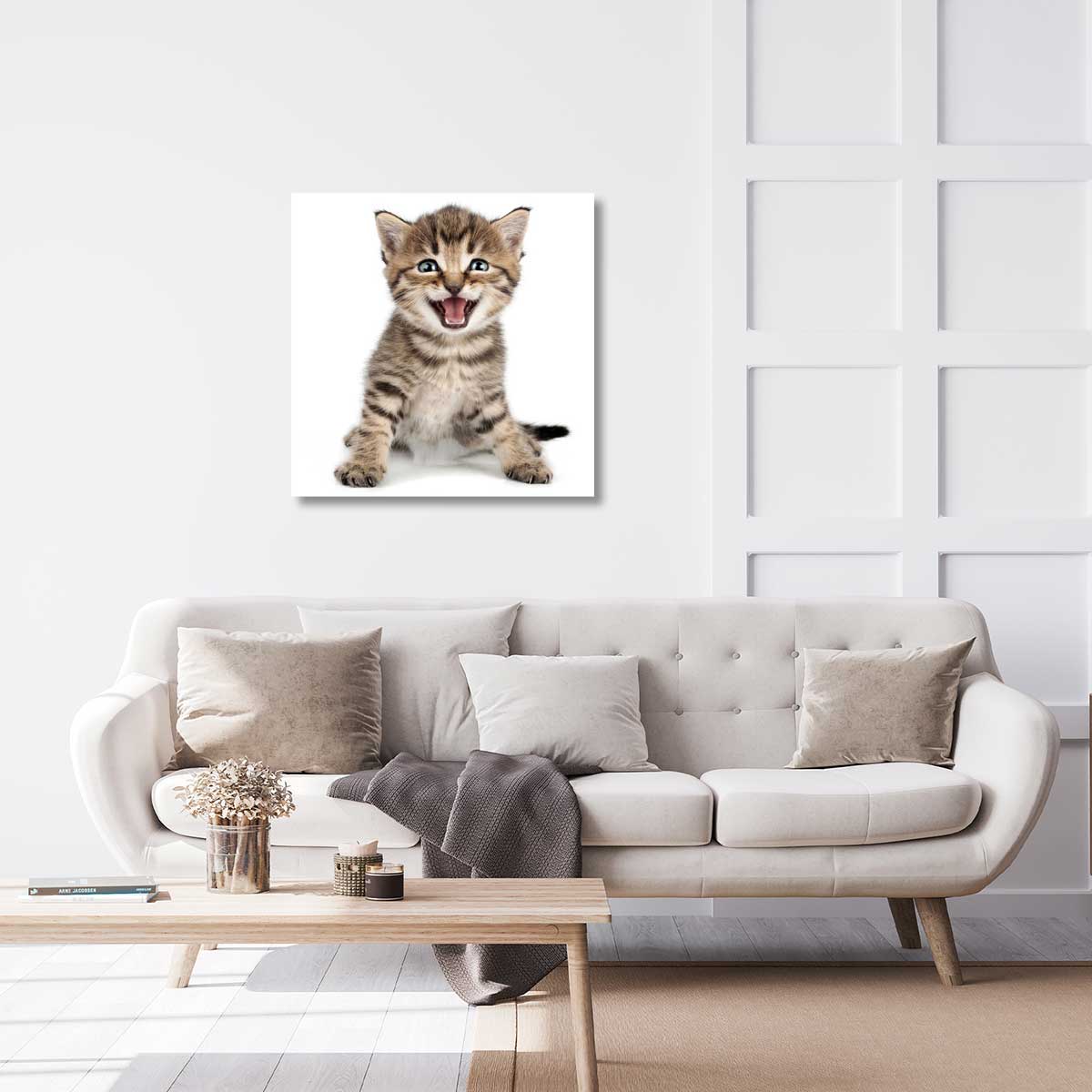 Tableau animaux chaton sur son arrière train - 50x50 cm - 2