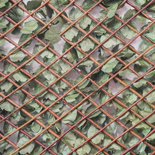Treillis extensible feuilles de lierre, Long 20 m, Hauteur 1 m - 2