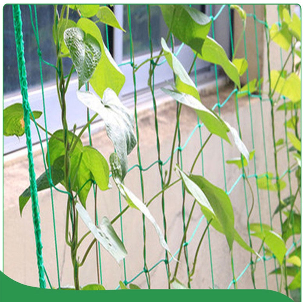 Filet d'escalade de jardin Filet d'escalade pour plantes, adapté aux jardins (0,9 M * 1,8 M) - 7