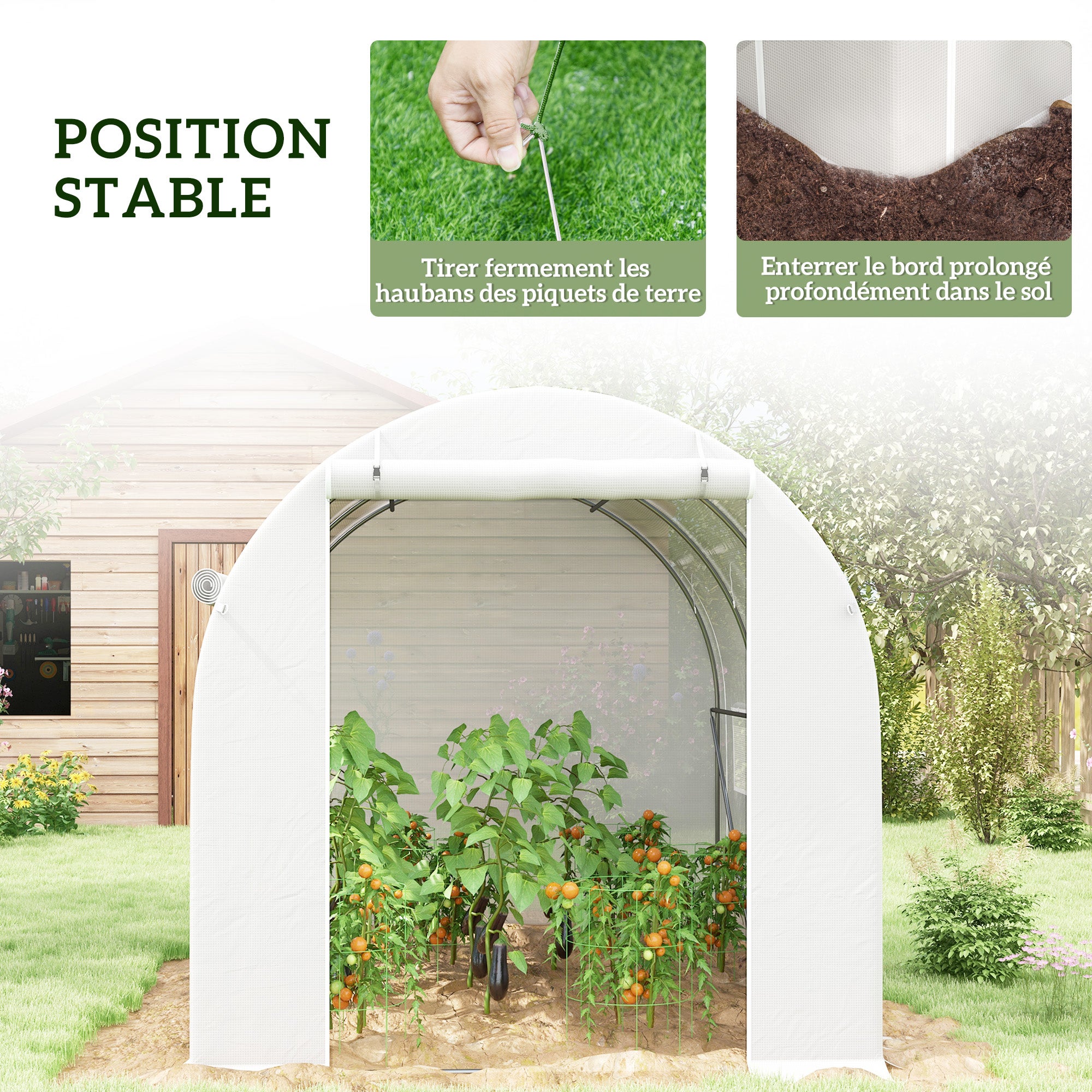 Serre de jardin 6 m² dim. 3 x 2 m avec 1 porte + 2 parois latérales zippées enroulables, 6 fenêtres, Blanc - 9