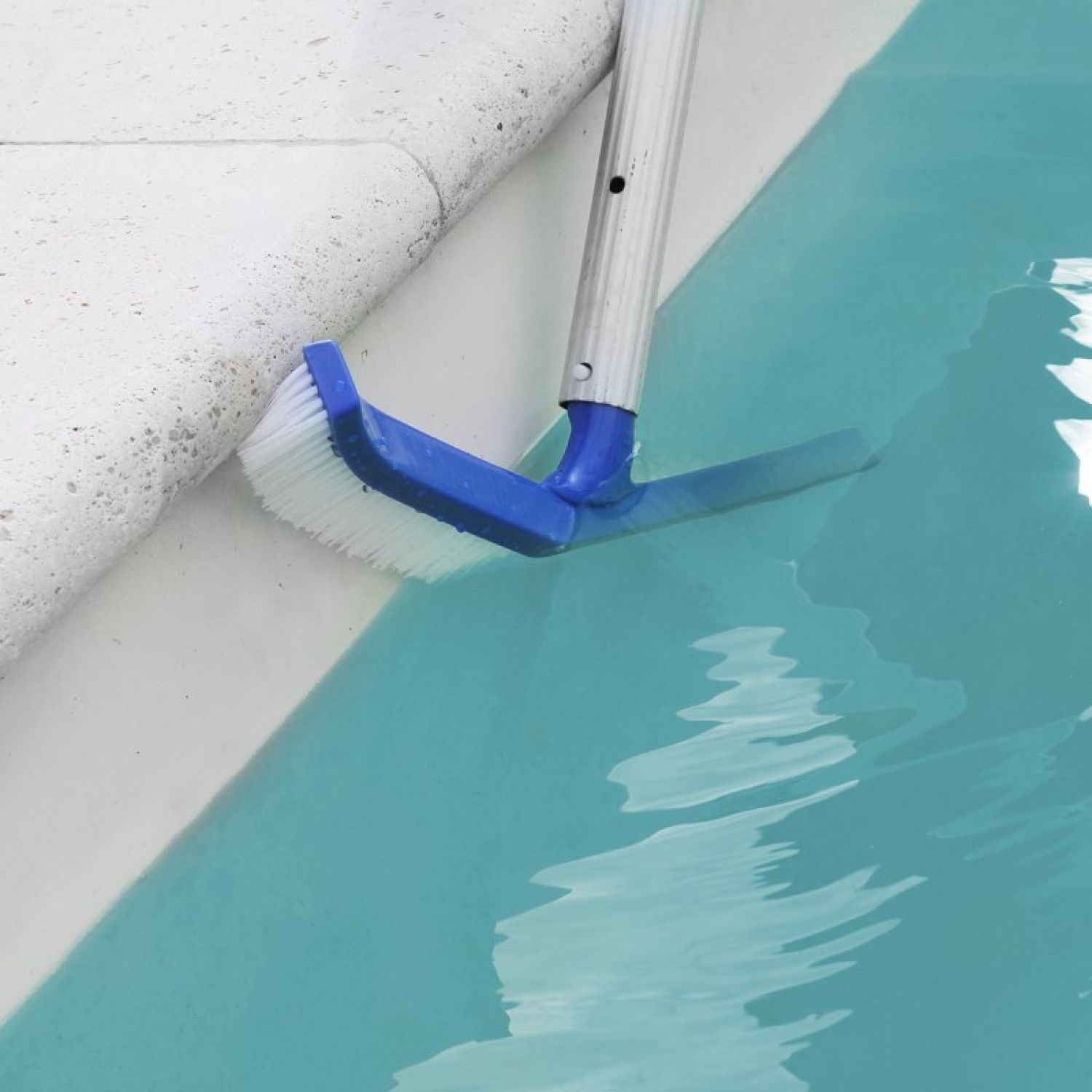 Tête de brosse paroi 45 cm bleu pour piscine adaptable sur manche standard ou télescopique - Linxor - 3