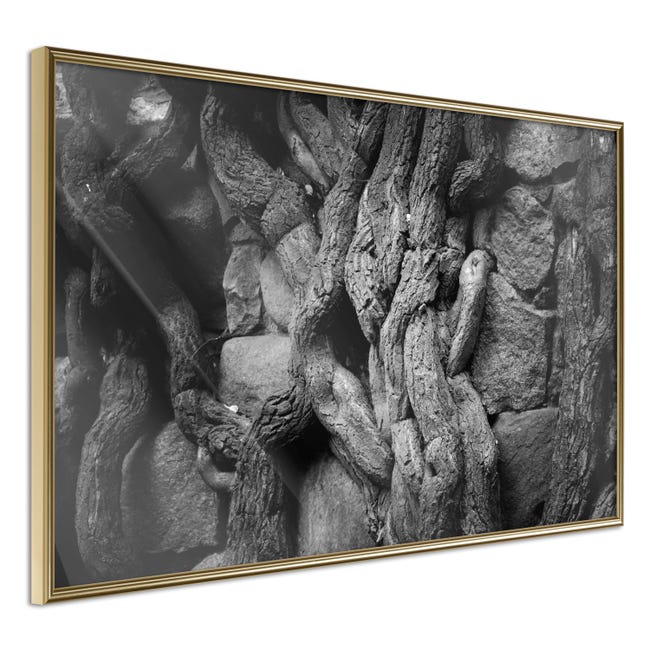 Poster et affiche - Strong Roots - 45x30 | Leroy Merlin