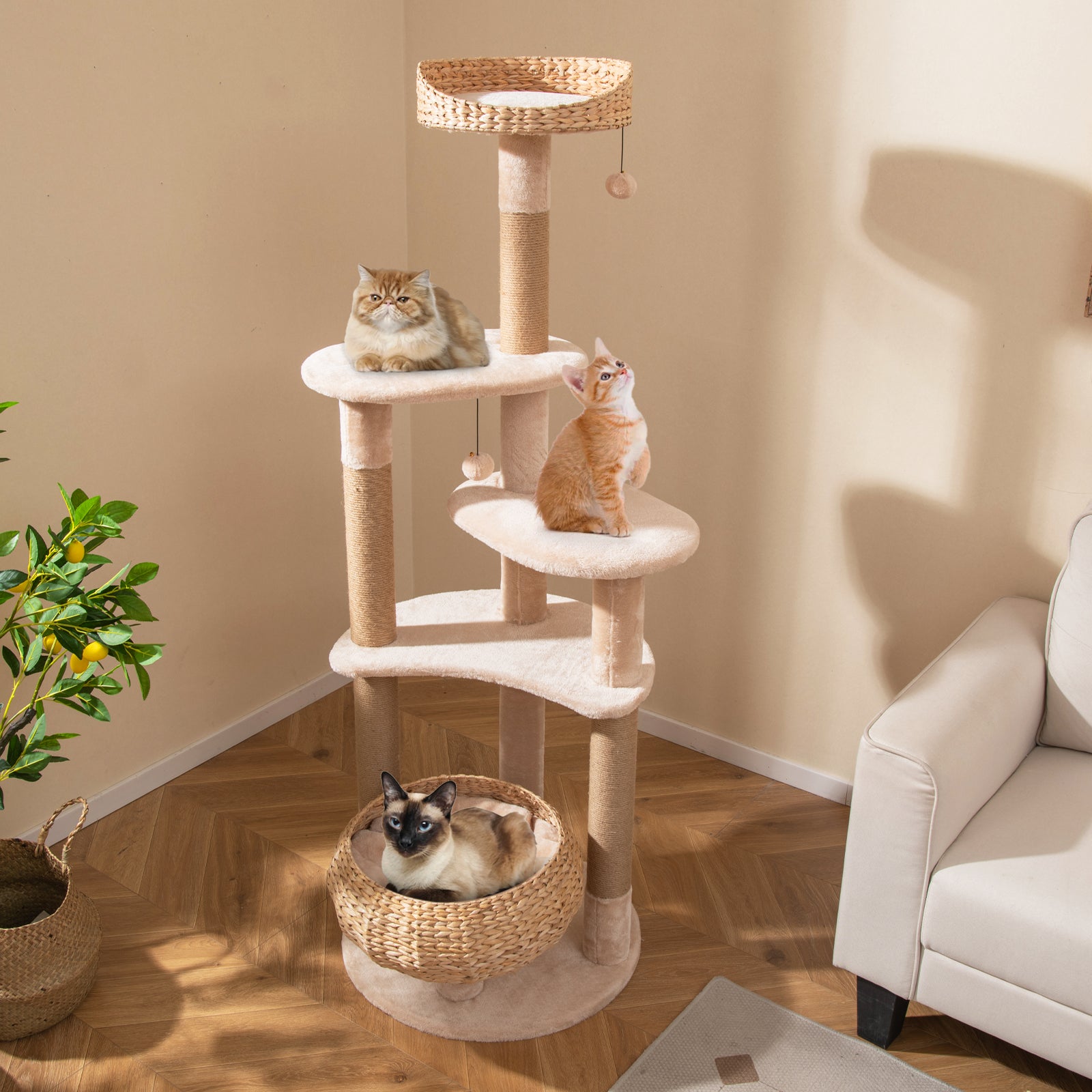 Arbre a Chat Bois 164 cm, 3 Griffoirs Chat en Jute, 5 Plateformes, Quenouille Tressée, Coussins Amovible, 2 Pompons, Tour pour Chat à 6 Étages - 9