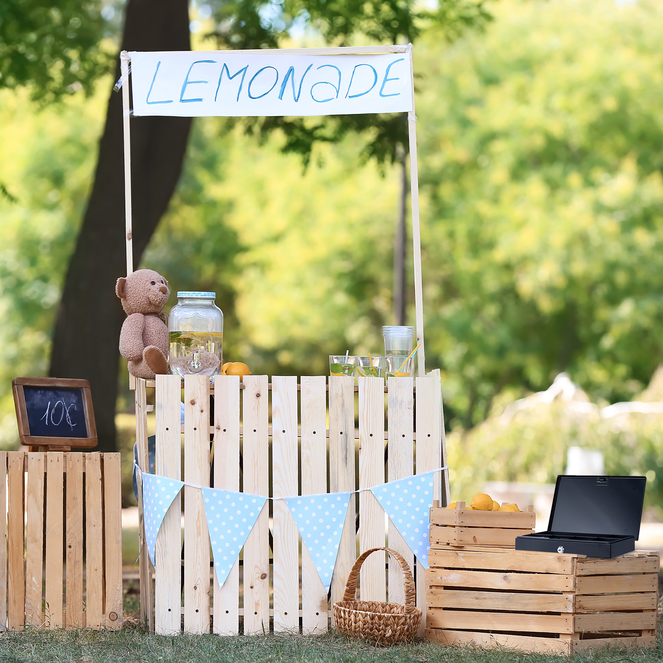 Relaxdays Cassetta Portavalori, Salvadanaio per Monete e Banconete, 2 Chiavi, Acciaio e Plastica, 4,5x30x20,5 cm, Nero - 2