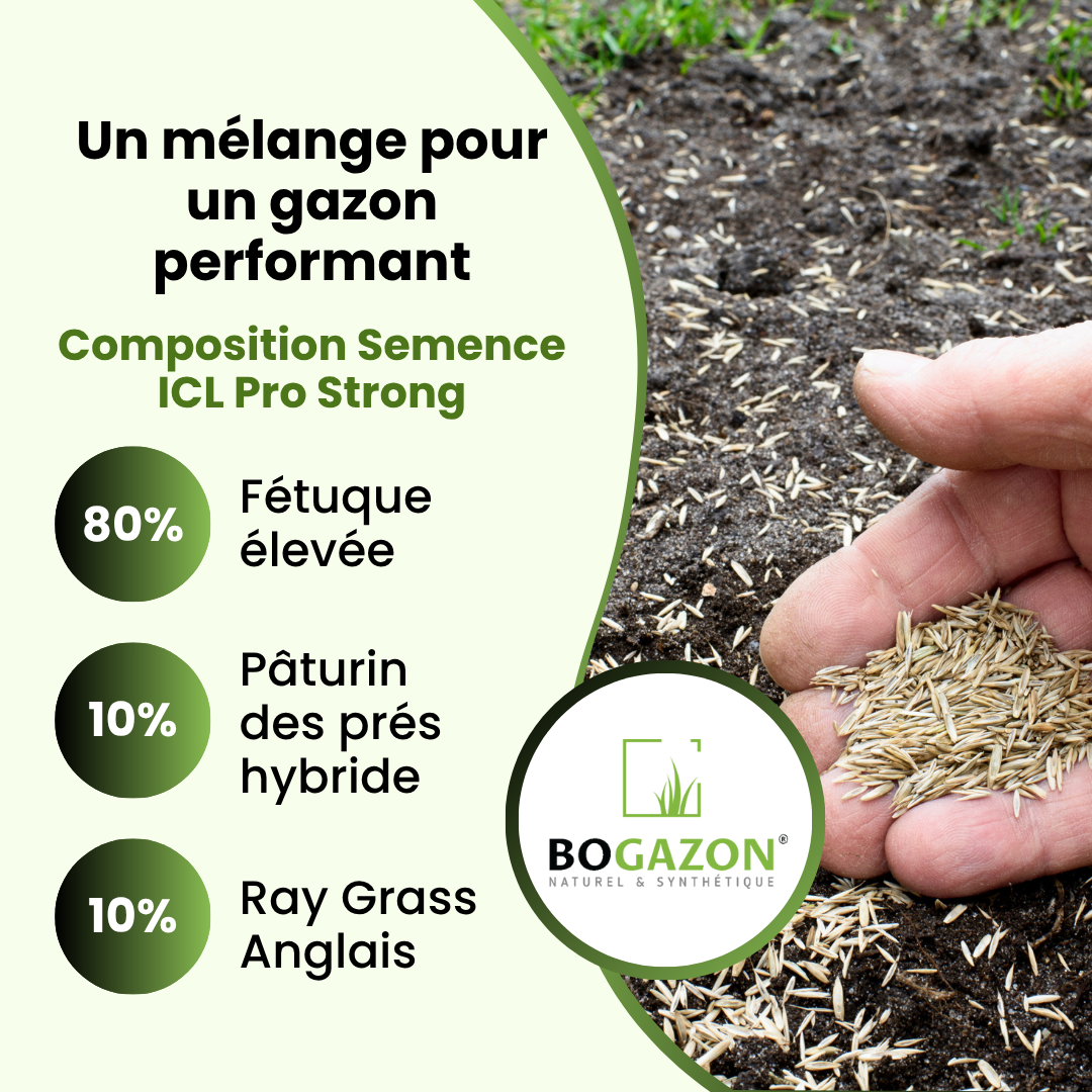 Gazon a semer ICL Pro Strong 10 kg| Graines de Gazon Rustique Résistant Sécheresse Racines Profondes | Semence Universel au Rendement Élevé - 5