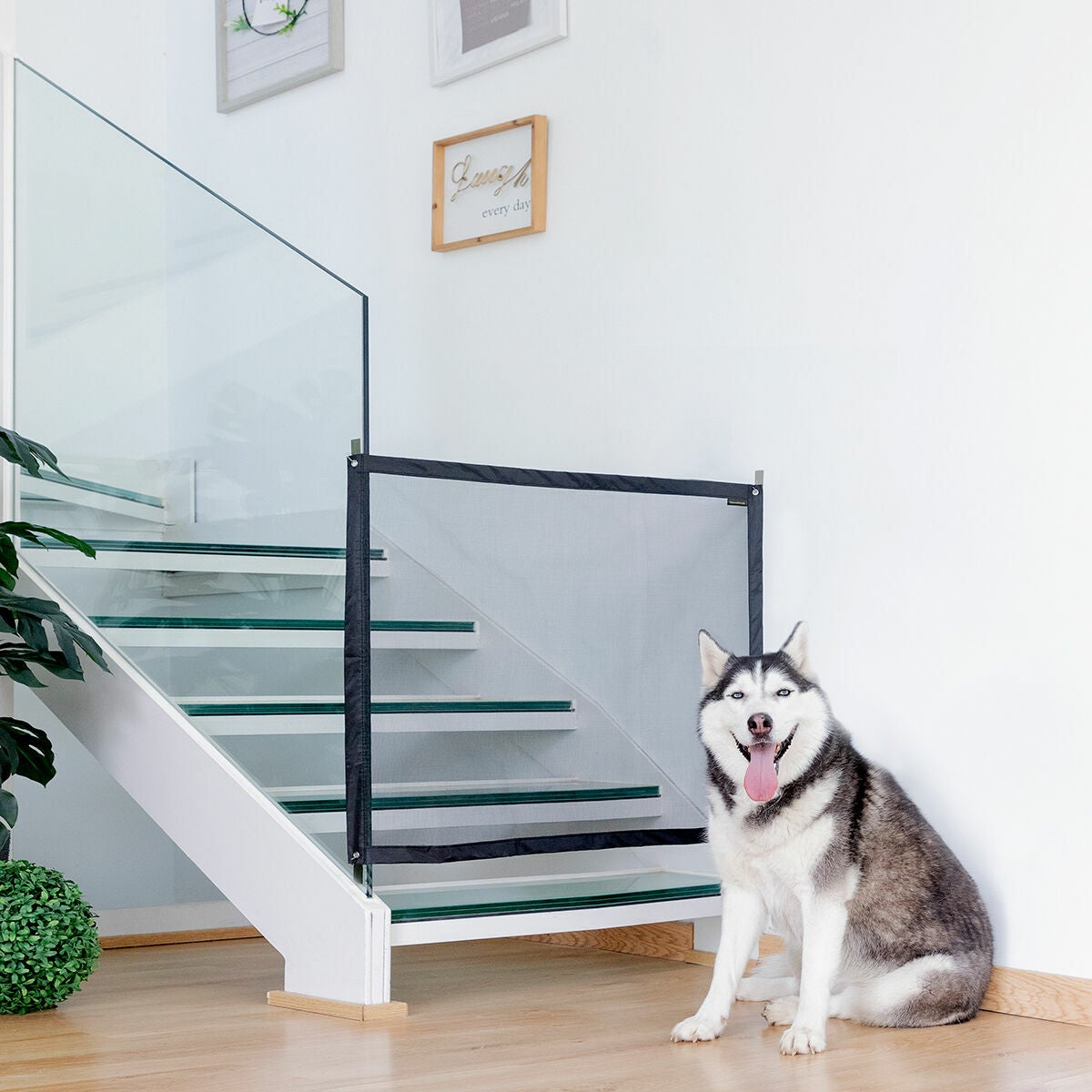 Red de Seguridad para Mascotas Petinu InnovaGoods - 2