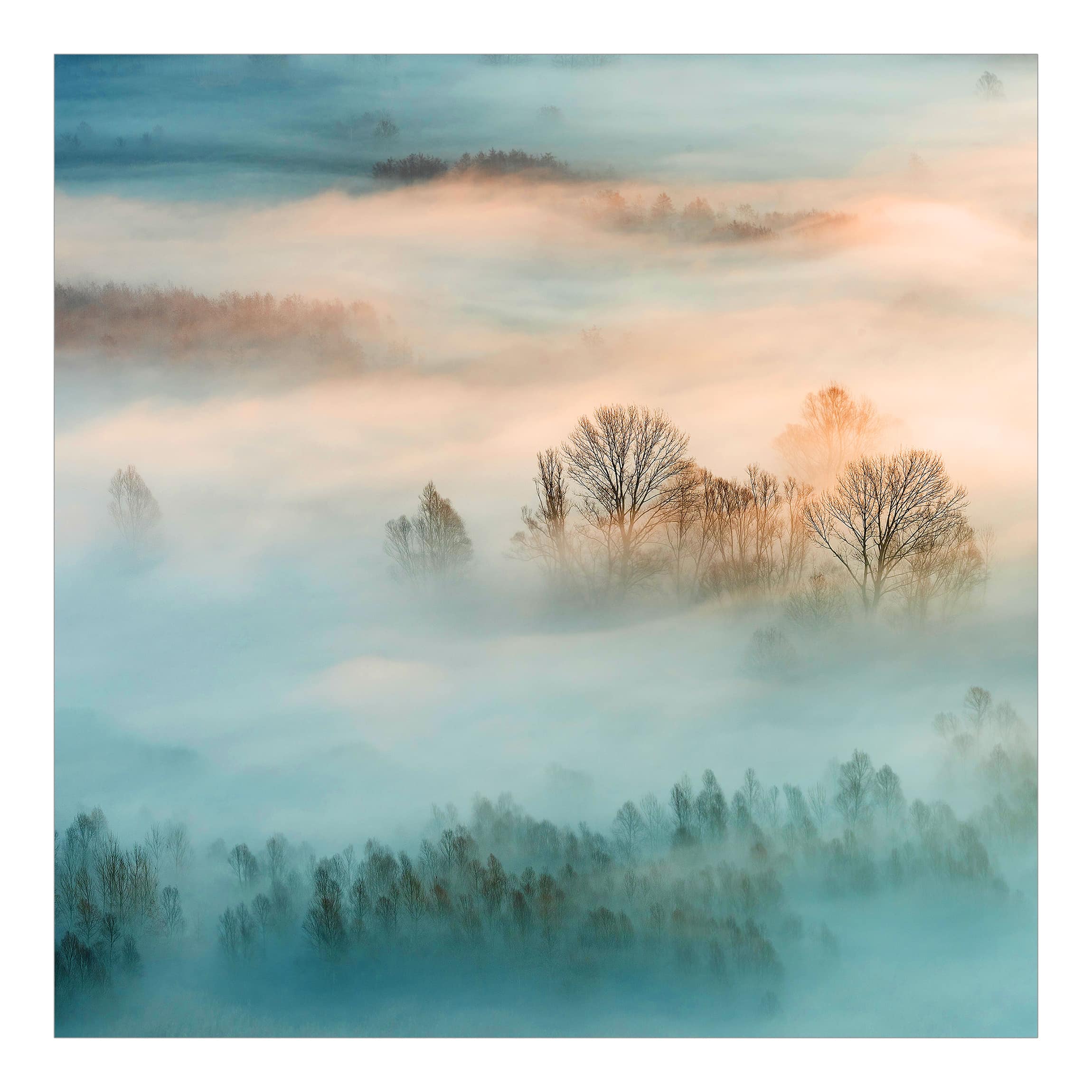 Papel pintado fotomural bosque naturaleza niebla al amanecer 231 - salón dormitorio cocina pasillo - tnt 240 x 240 cm smart