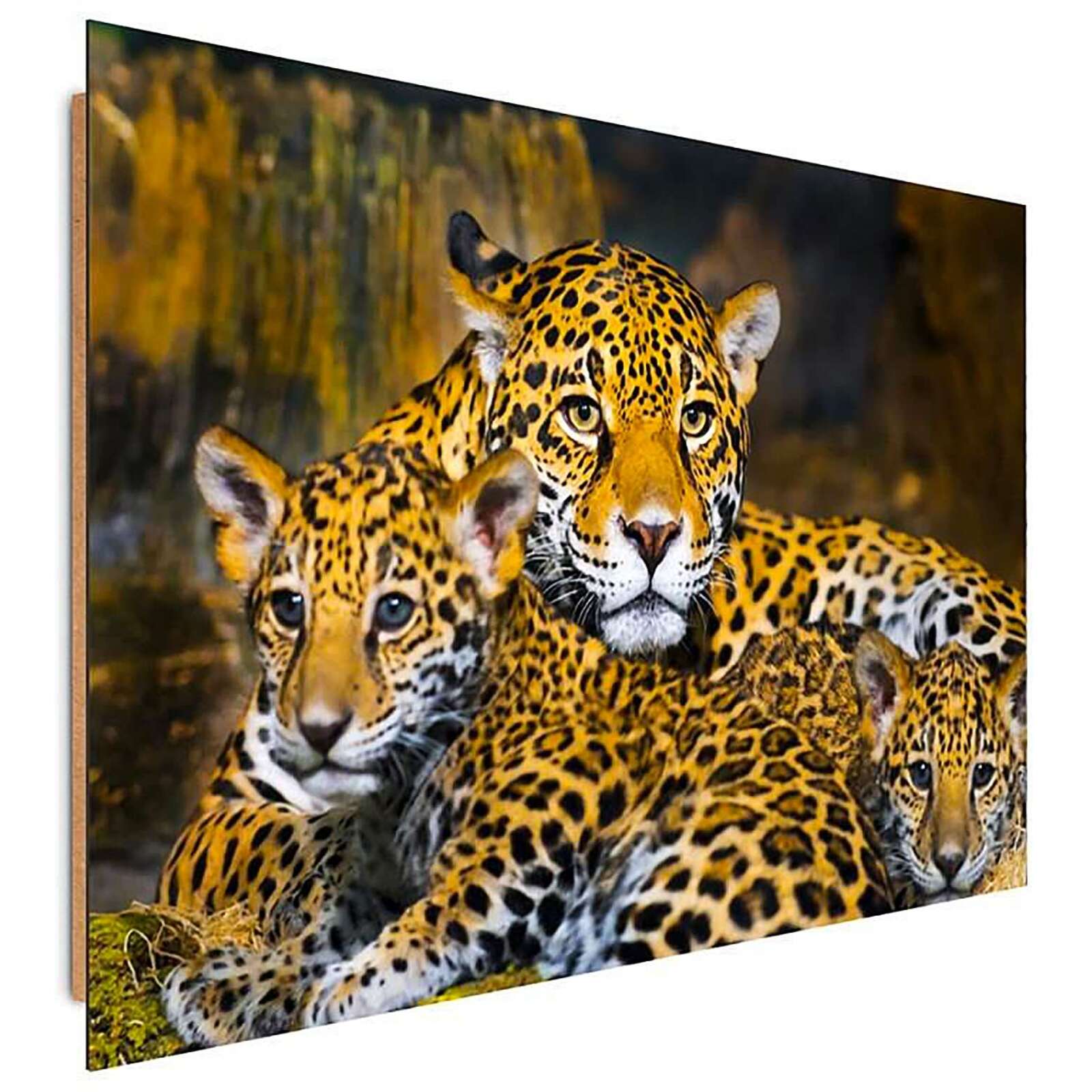 Tableau bois famille léopards - 40 x 30 cm - 2