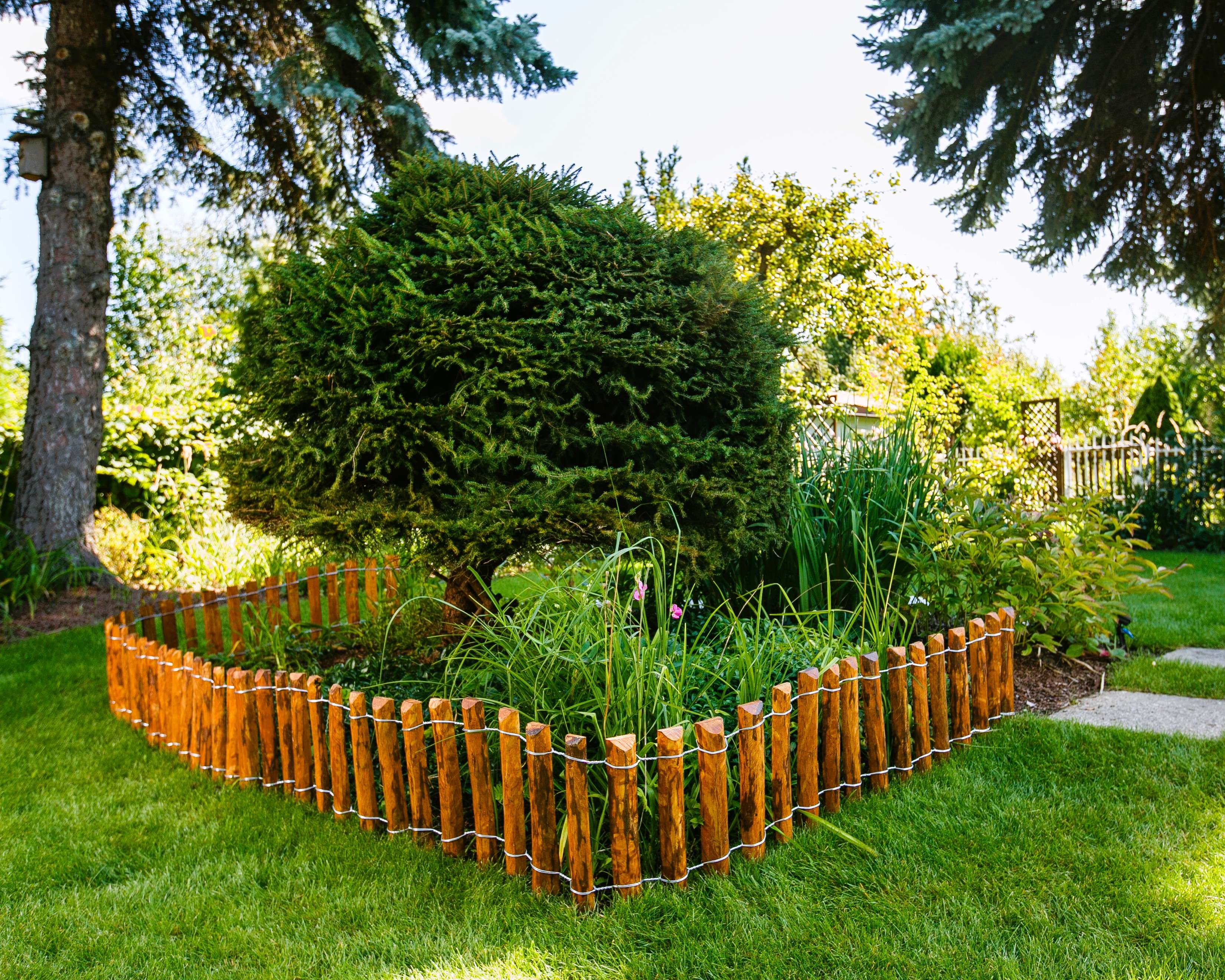 BOGATECO Bordure Enroulable en Noisetier Brun - Hauteur 35 cm - Longueur 300 cm - Demi-Palissade de Jardin Imprégnée à Planter - 4