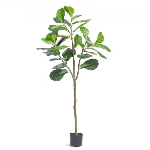 GarveeHome Albero di fico a foglia di violino verde, 1,8 m