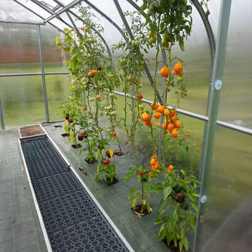 Serre de jardin KLASIKA Standard 10m2, 2,5m x 4m, 6 mm avec revêtement en polycarbonate (Avec 2 toits ouvrants automatiques) - 9