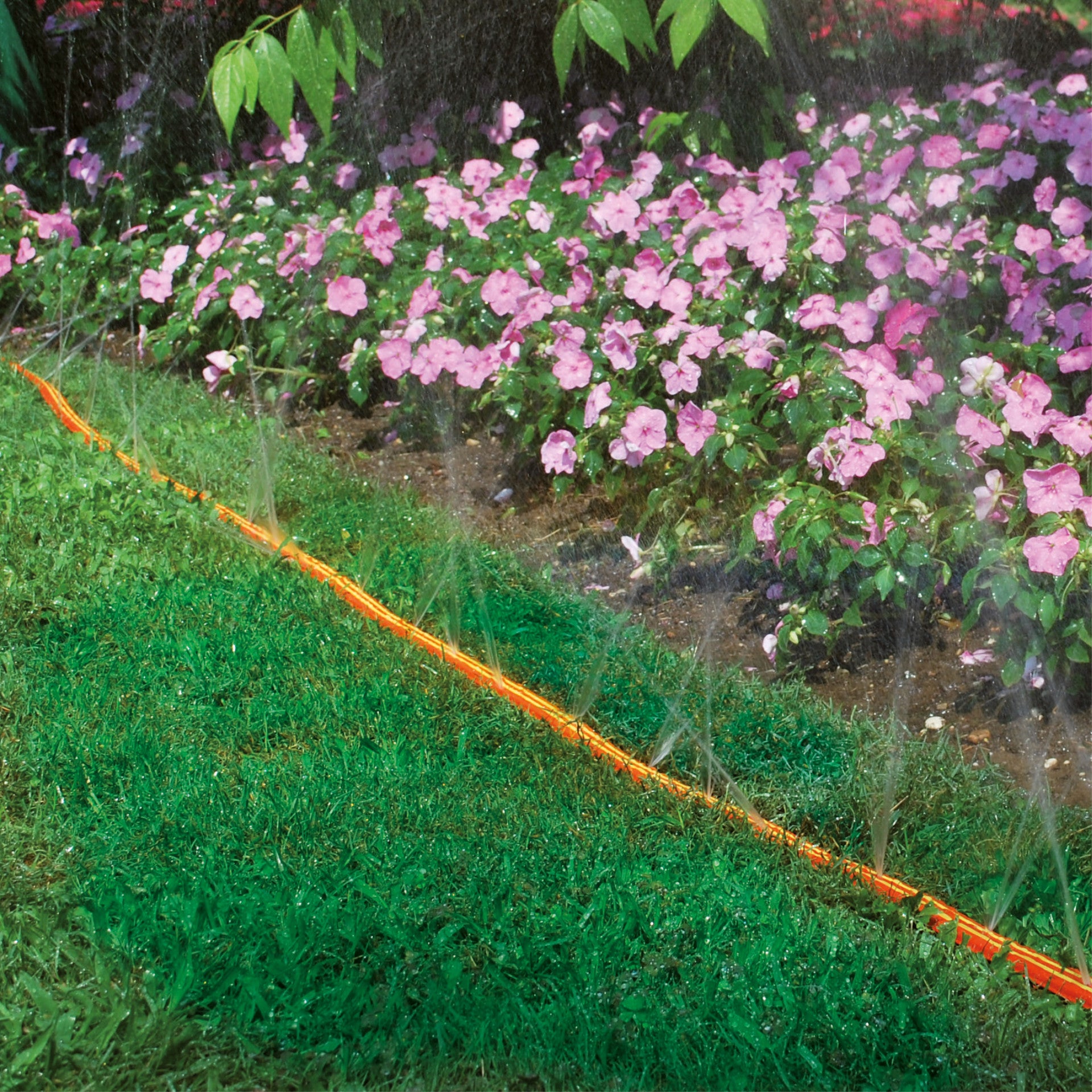 FITT SPRIZZY 15m - Tuyau d’Arrosage perforé à trois voies pour Arrosage à jet et à imprégnation des Surfaces étroites et longues. Usage domestique - 3