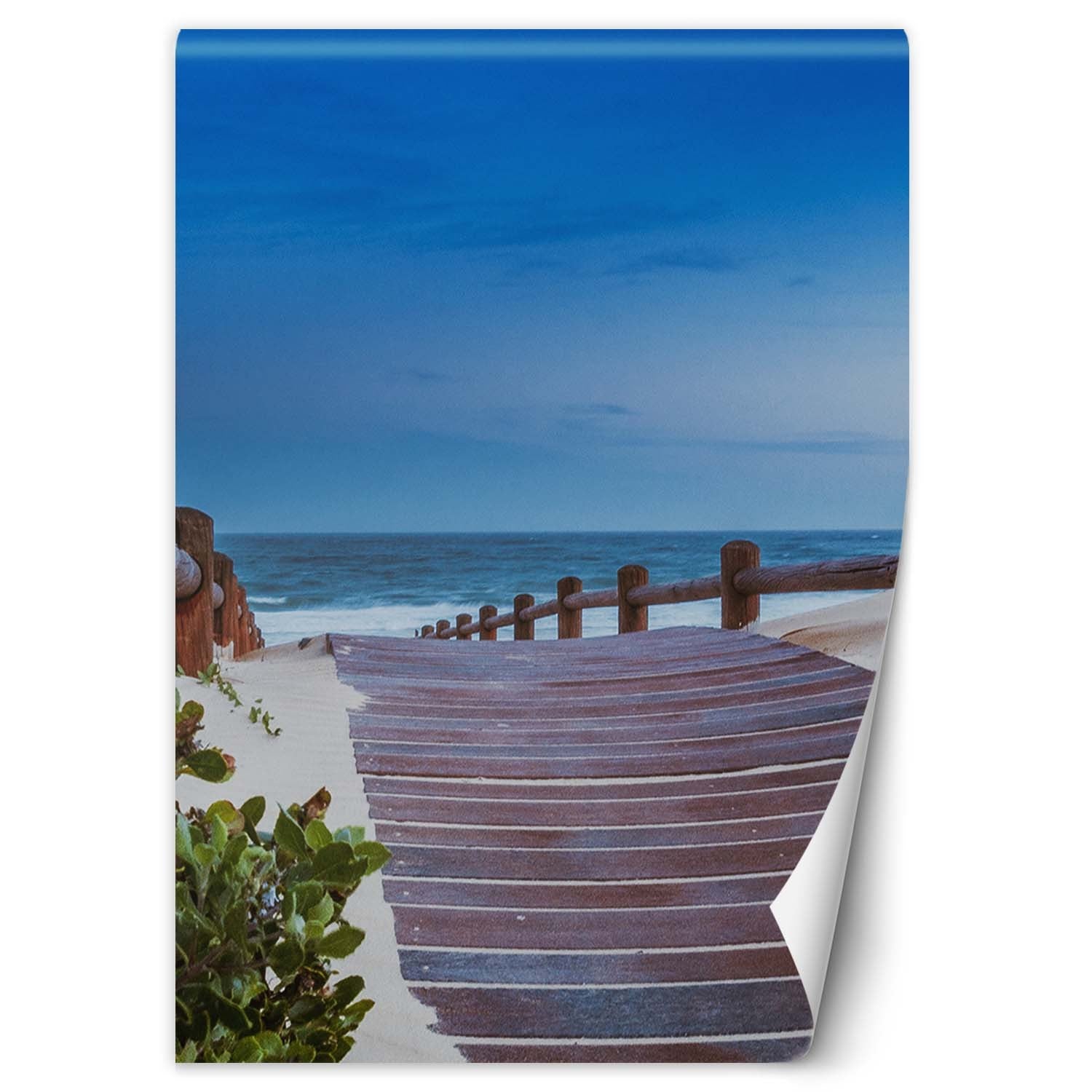 Fototapeta, Droga na plaże 200x280