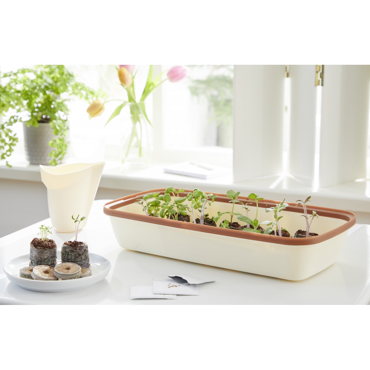 Serre BOQUBE 28x13x12cm - crème-cuivre - ROMBERG - 5