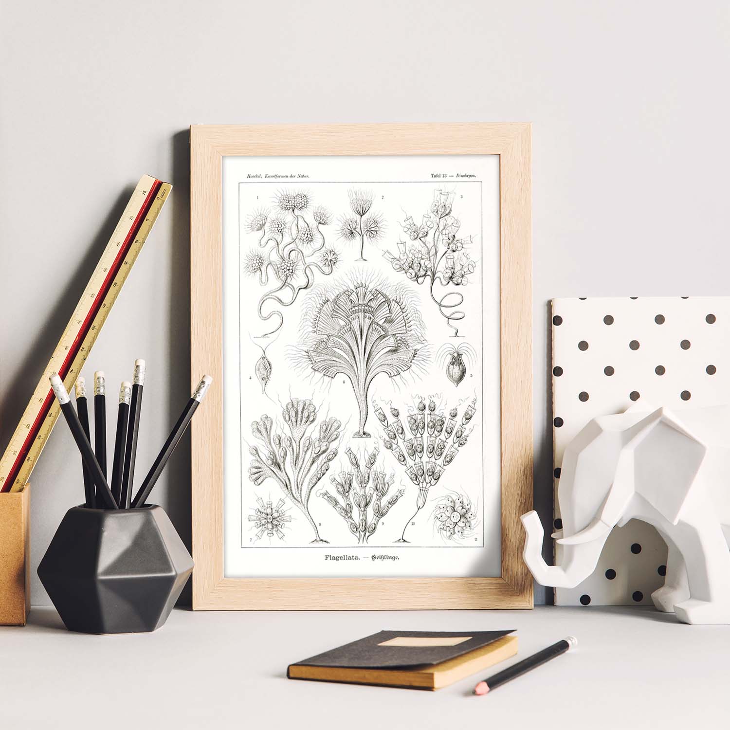 Lamina artistica decorativa con ilustracion de flagelata estilo vintage sin marco - a4